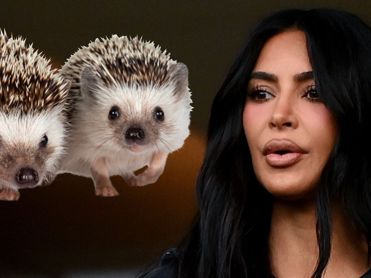 Kim Kardashian wird Tierquälerei vorgeworfen.