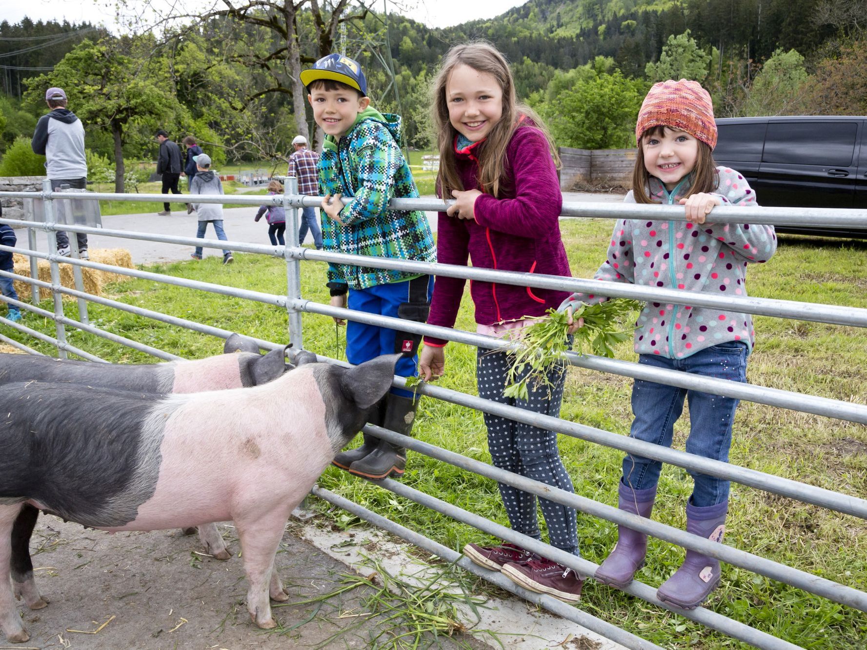 Frühlingswoche am Sunnahof in Göfis vom 24. bis 28. April.