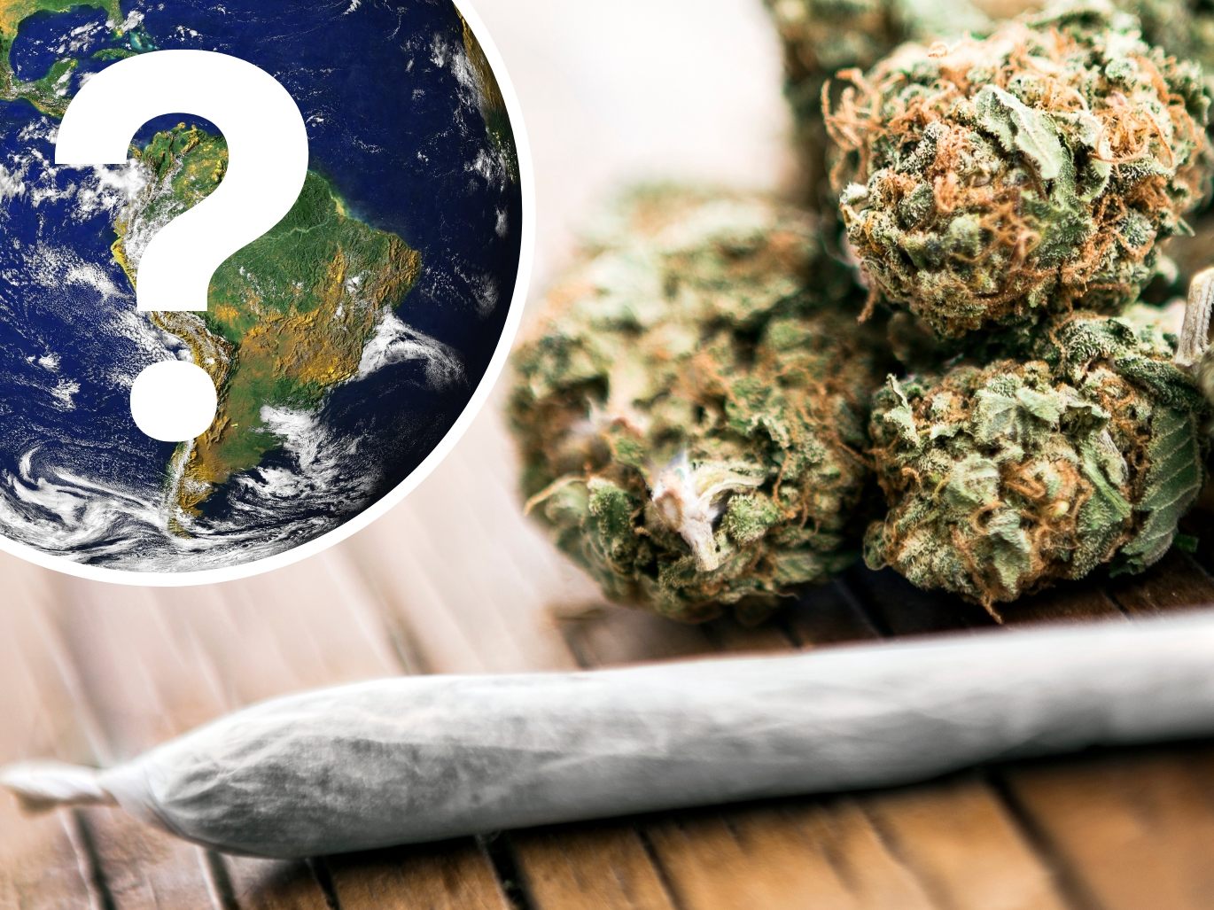 Als erstes Land der Welt legalisierte Uruguay 2013 den Anbau, den Vertrieb und den Konsum von Cannabis. Als erstes Land der Welt legalisierte Uruguay 2013 den Anbau, den Vertrieb und den Konsum von Cannabis.