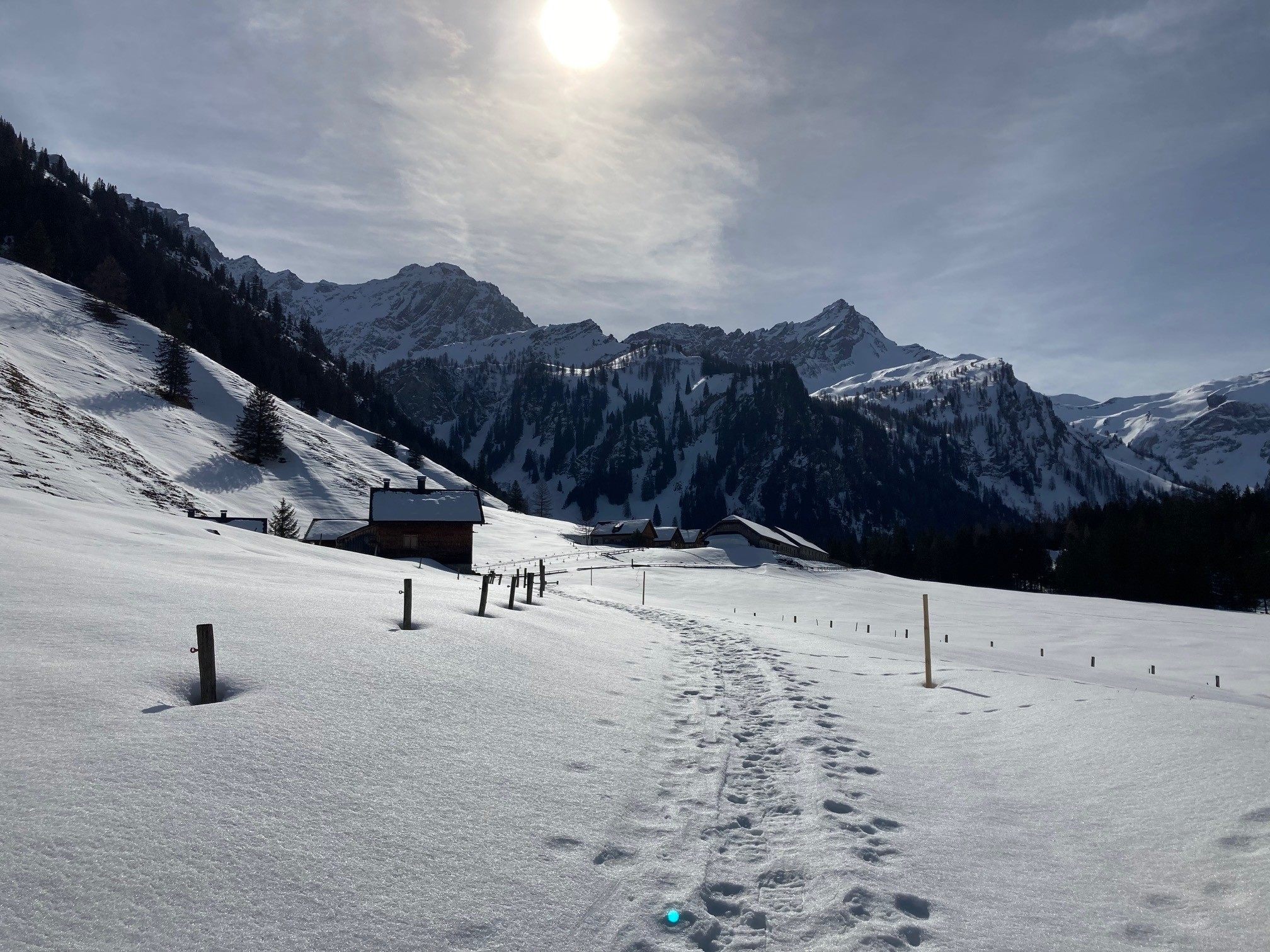 Im Nenzinger findet am Sonntag der Naafkopf-Riesentorlauf statt. Im Nenzinger findet am Sonntag der Naafkopf-Riesentorlauf statt.