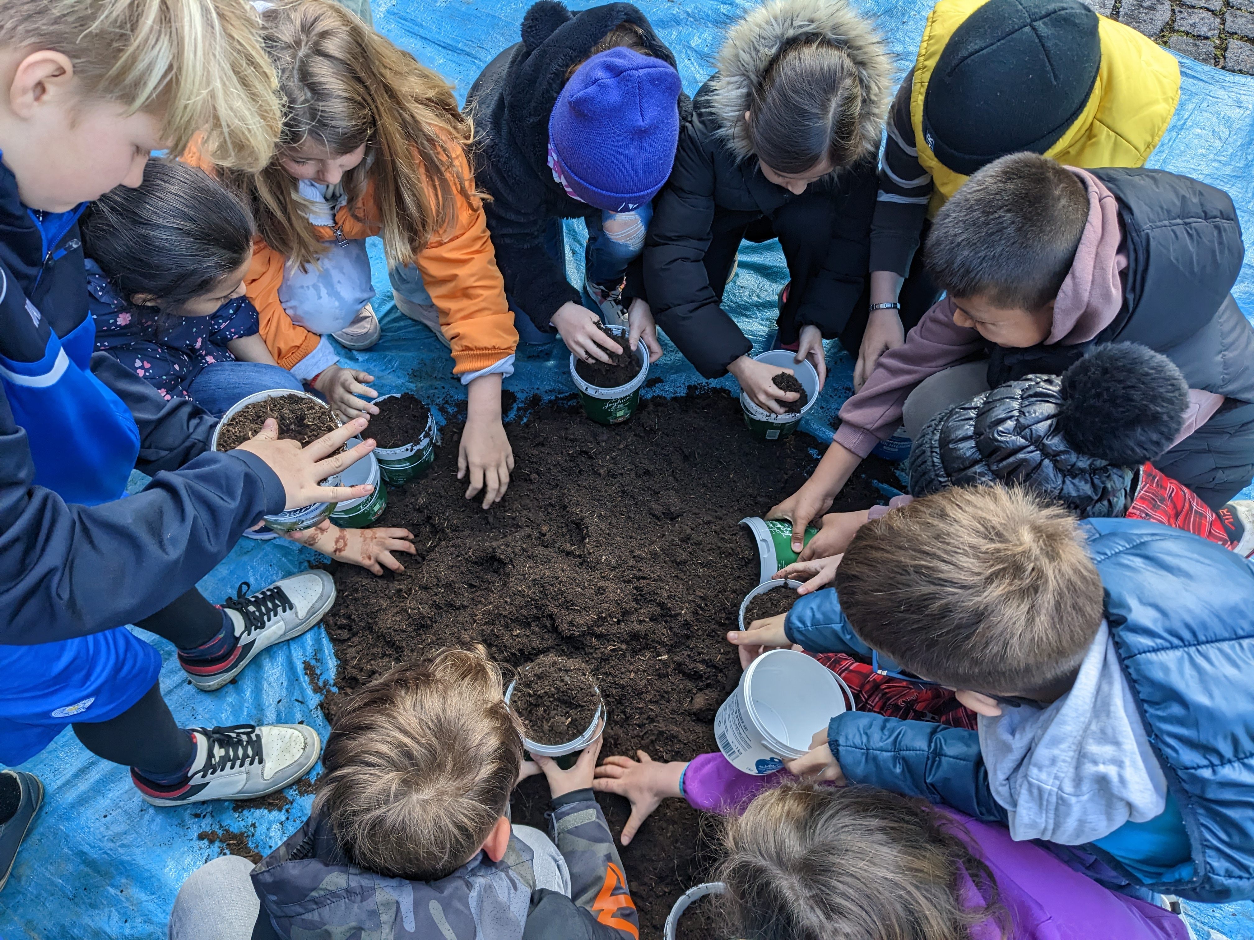 200 Rankweiler Volksschüler pflanzten Kräuter.