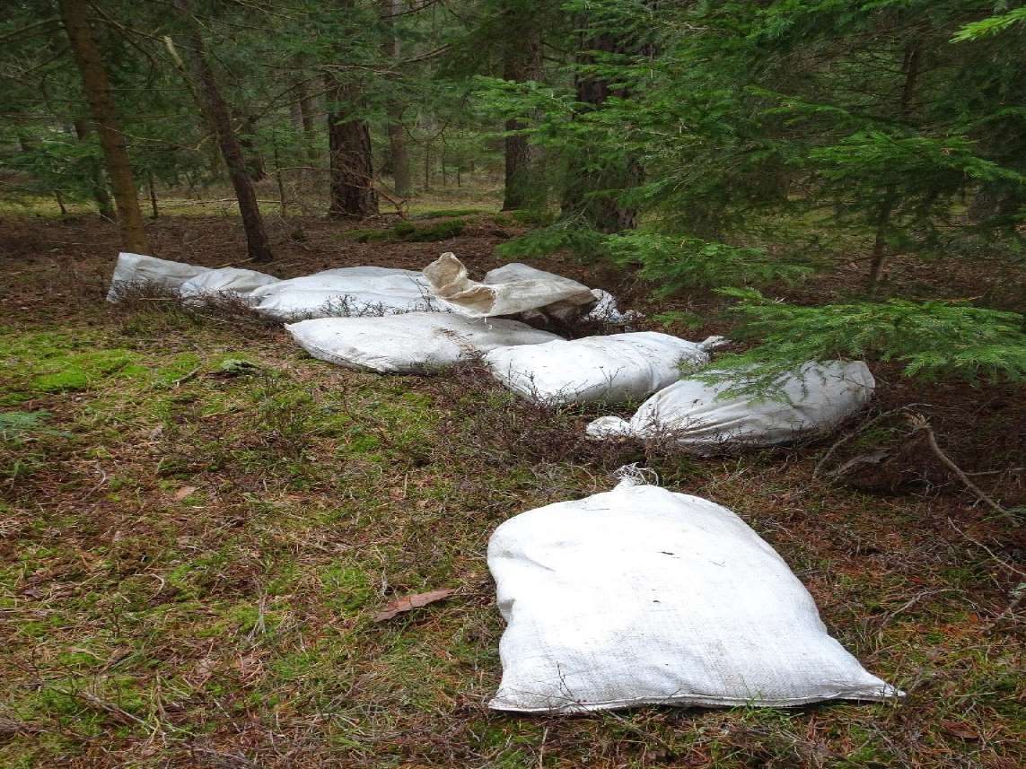 150 tote Hühner wurden in Jutesäcken in Niederösterreich entdeckt.