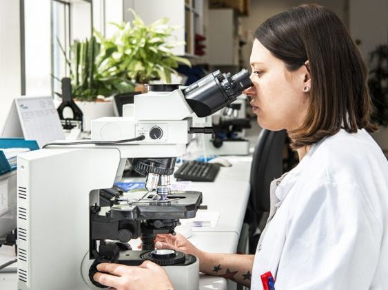 Die Praktika, die zwischen dem zweiten und sechsten Semester stattfinden, umfassen ein Drittel des Studiums. Foto: K. Nussbaumer Die Praktika, die zwischen dem zweiten und sechsten Semester stattfinden, umfassen ein Drittel des Studiums. Foto: K. Nussbaumer