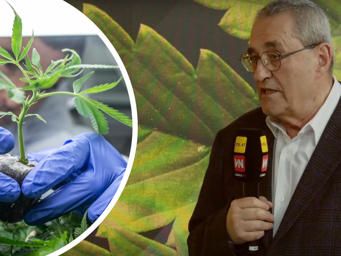 Dr. Alfred Witzmann, Hypnose und Schmerztherapeut, zu Gast bei "Vorarlberg LIVE". Dr. Alfred Witzmann, Hypnose und Schmerztherapeut, zu Gast bei "Vorarlberg LIVE".