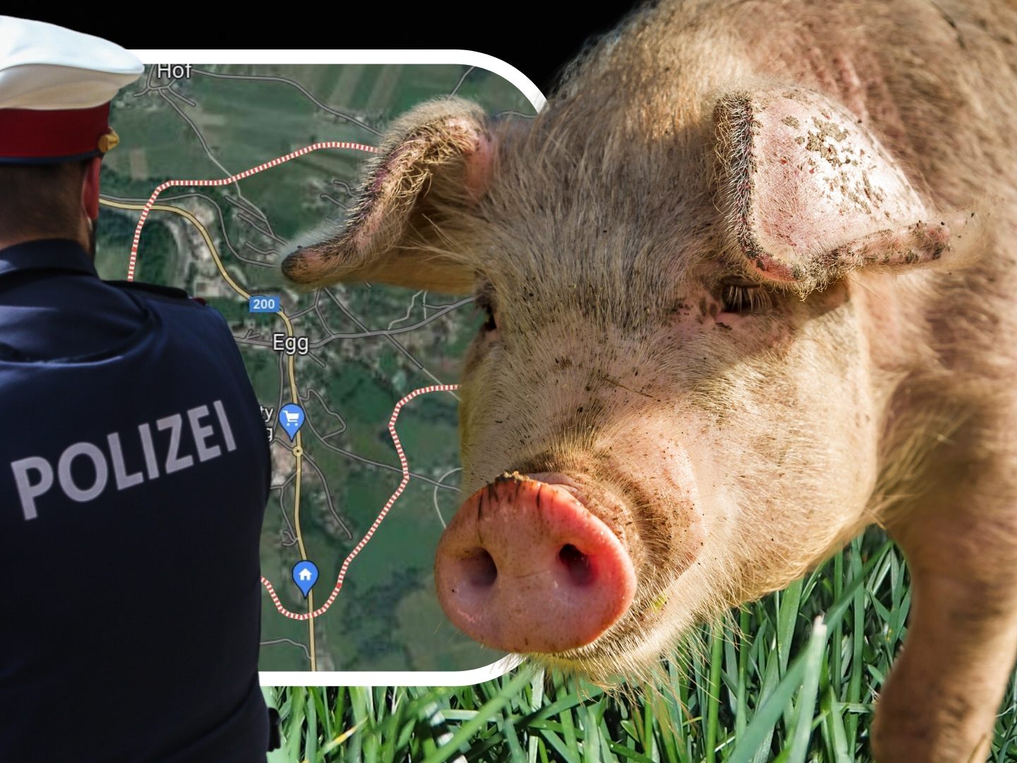 Die Polizei bittet um Hinweise.