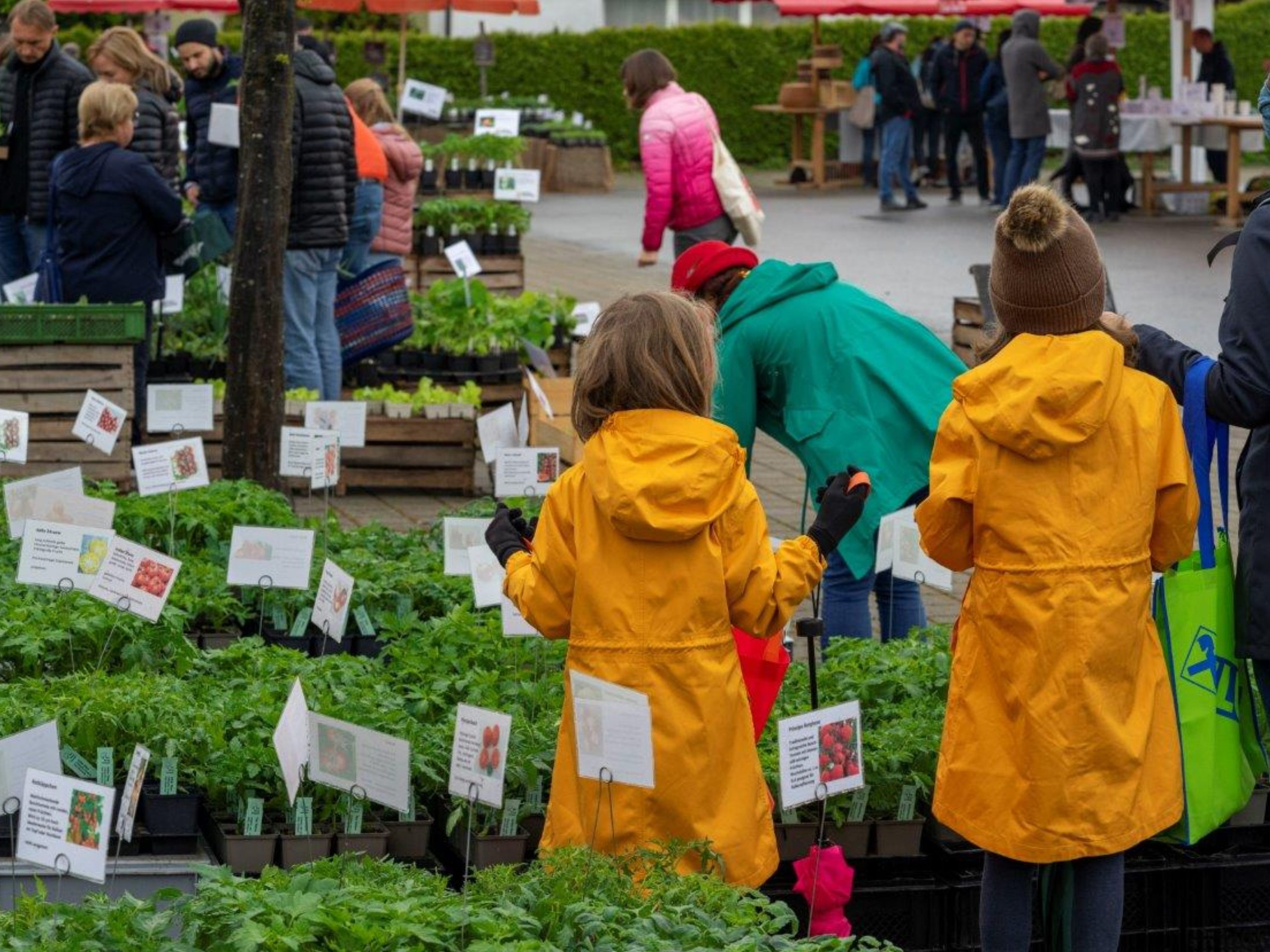 Am kommenden Samstag findet beim Sportgelände der beliebte Gartenmarkt statt.
