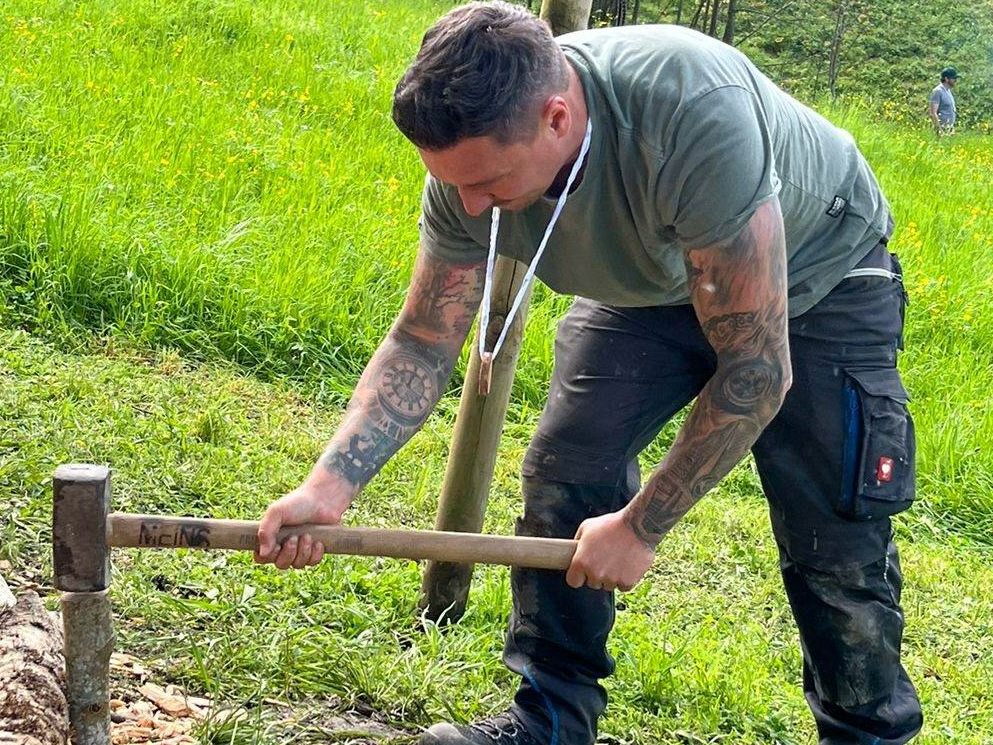 Fleißige Waldfüchse bei der Arbeit