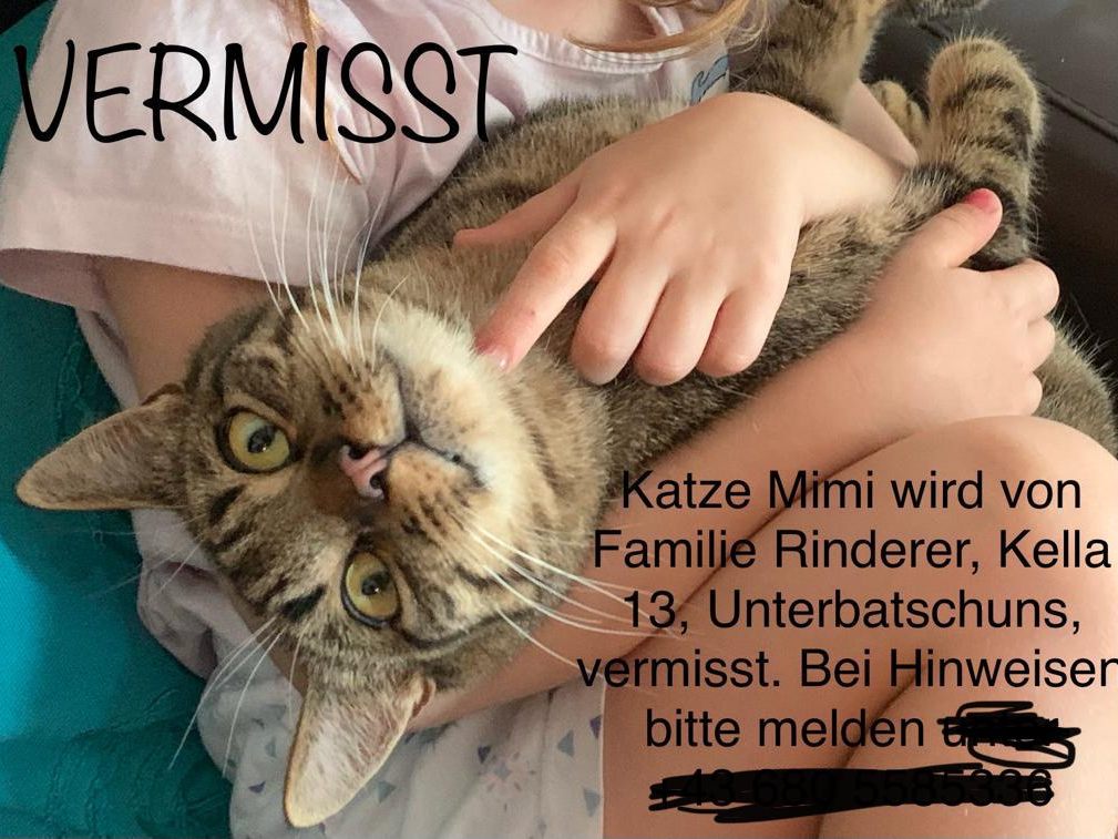 Katze Mimi