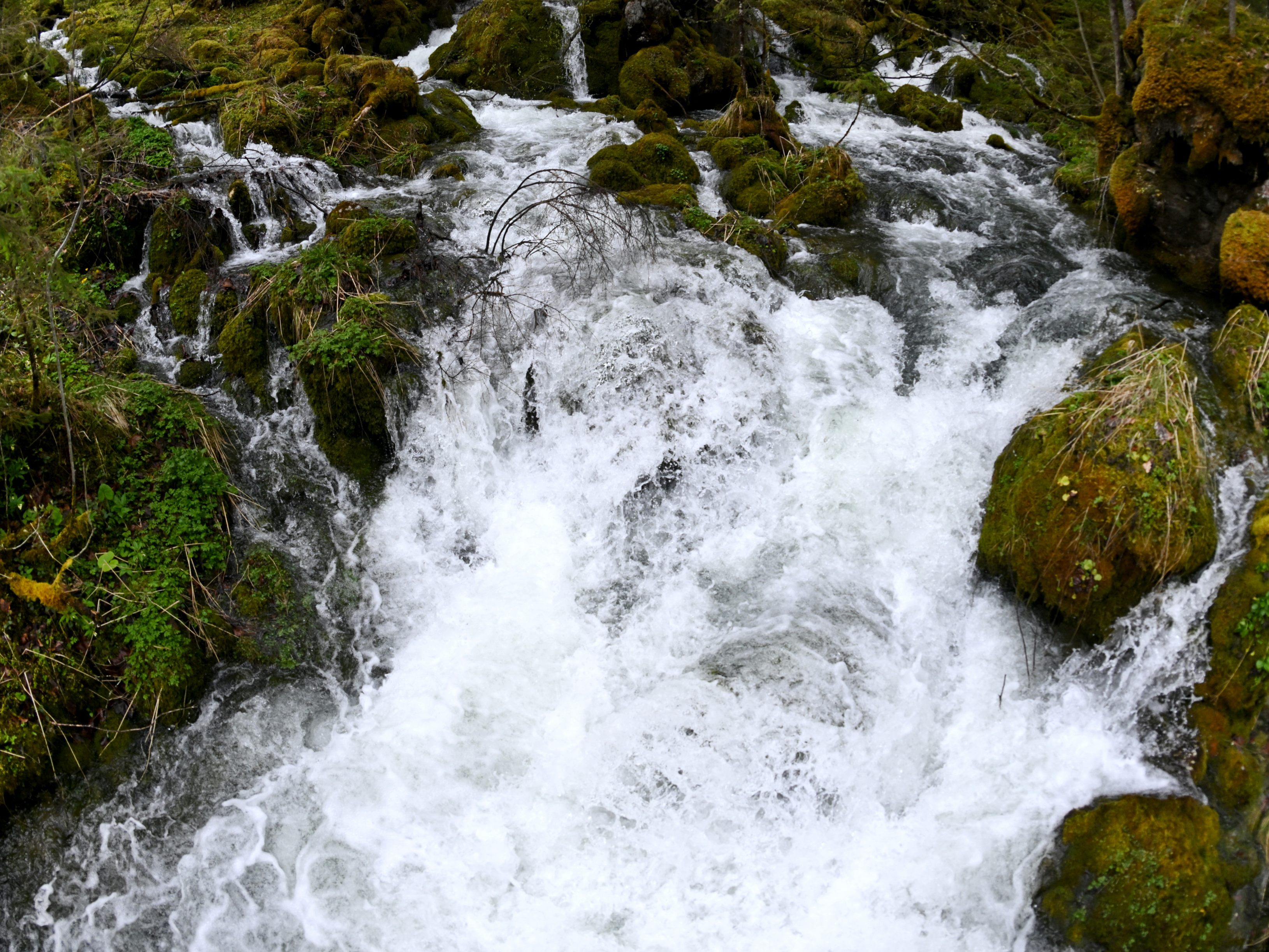 Seit 150 Jahren haben die Wiener Haushalte Hochquellwasser. Seit 150 Jahren haben die Wiener Haushalte Hochquellwasser.