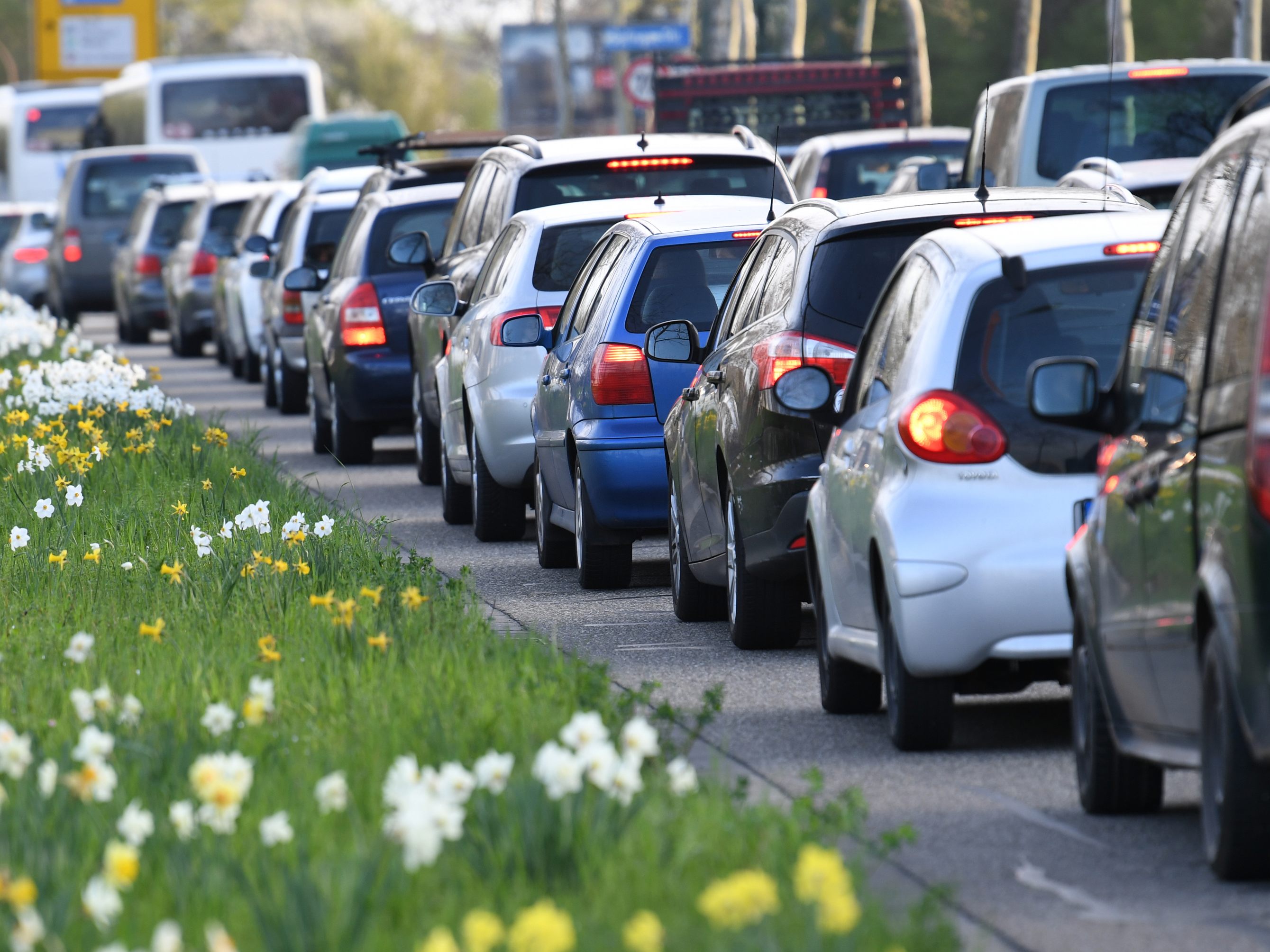Am Dienstag ist die B50 wegen einer Demo für den Neusiedler See teilweise gesperrt. Am Dienstag ist die B50 wegen einer Demo für den Neusiedler See teilweise gesperrt.