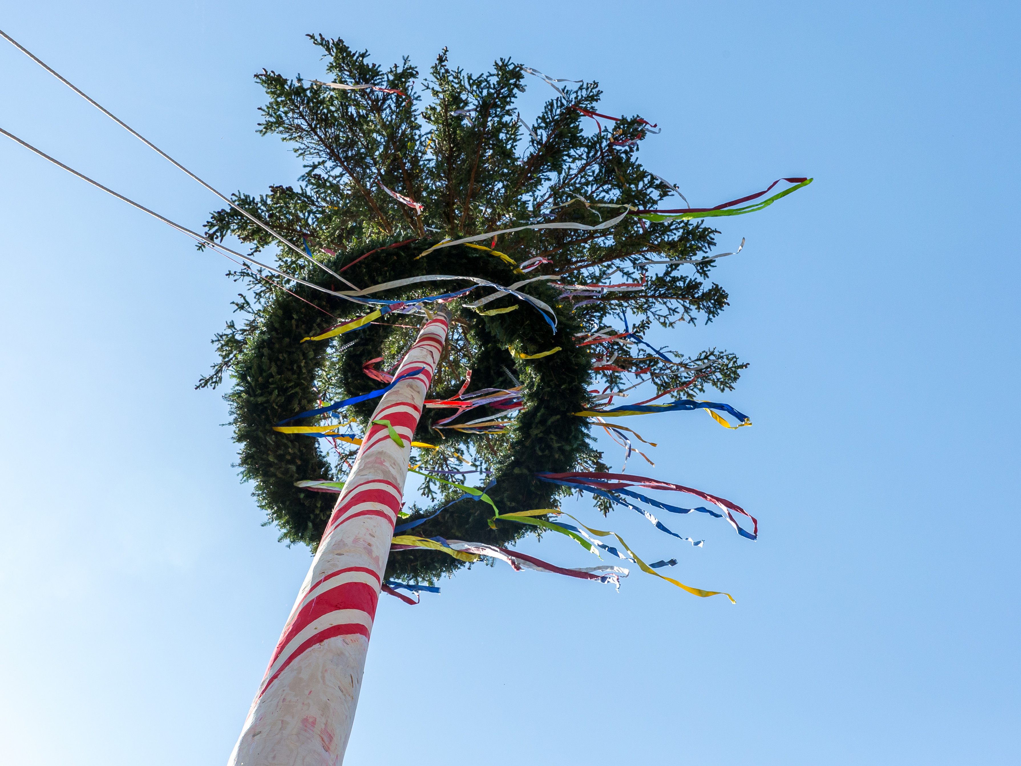 In Niederösterreich wurden mehrere Maibäume angesägt.