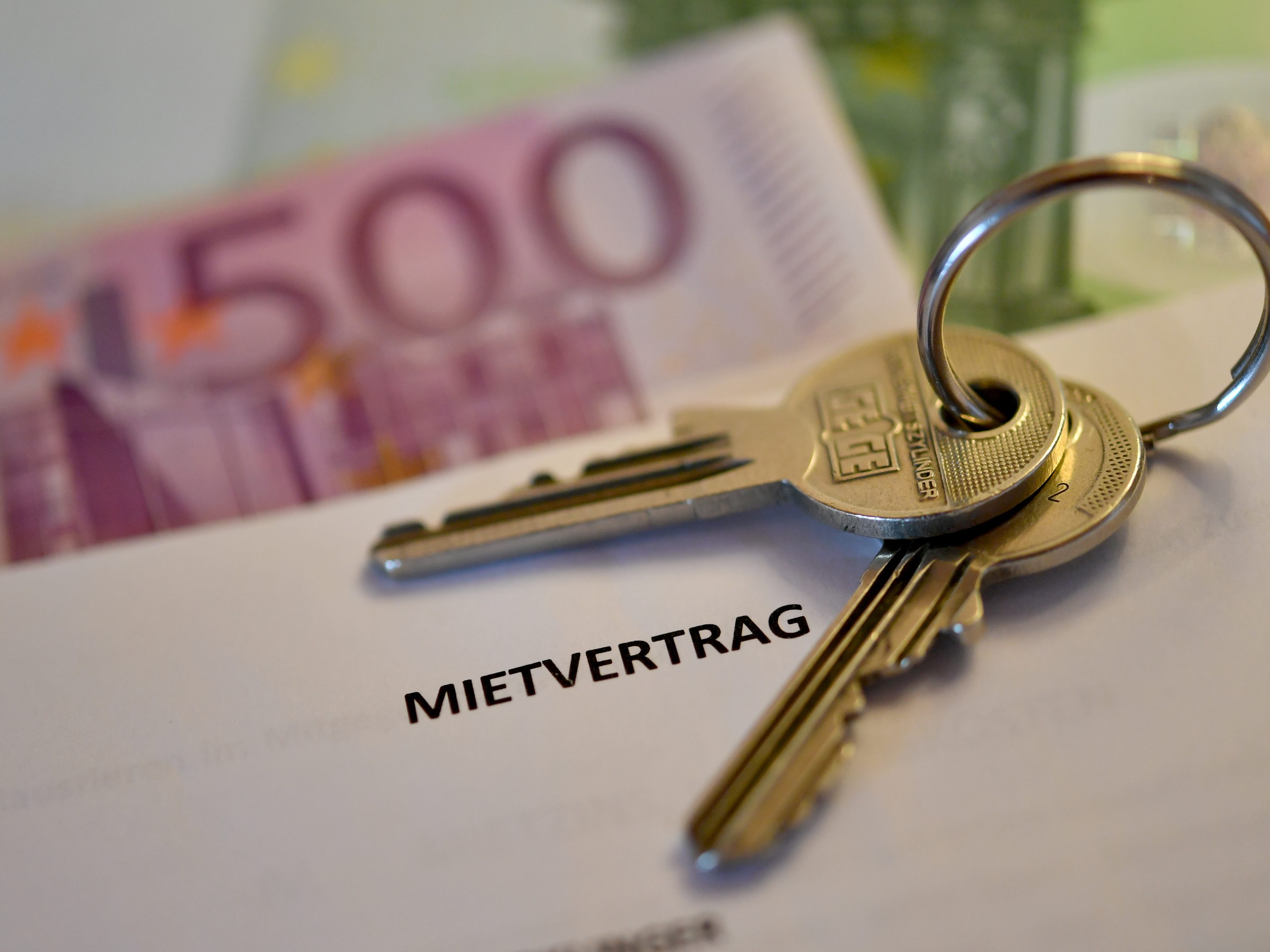 Im Vergleich zum Einkommen hat Graz die günstigsten Mieten in Europa. Im Vergleich zum Einkommen hat Graz die günstigsten Mieten in Europa.