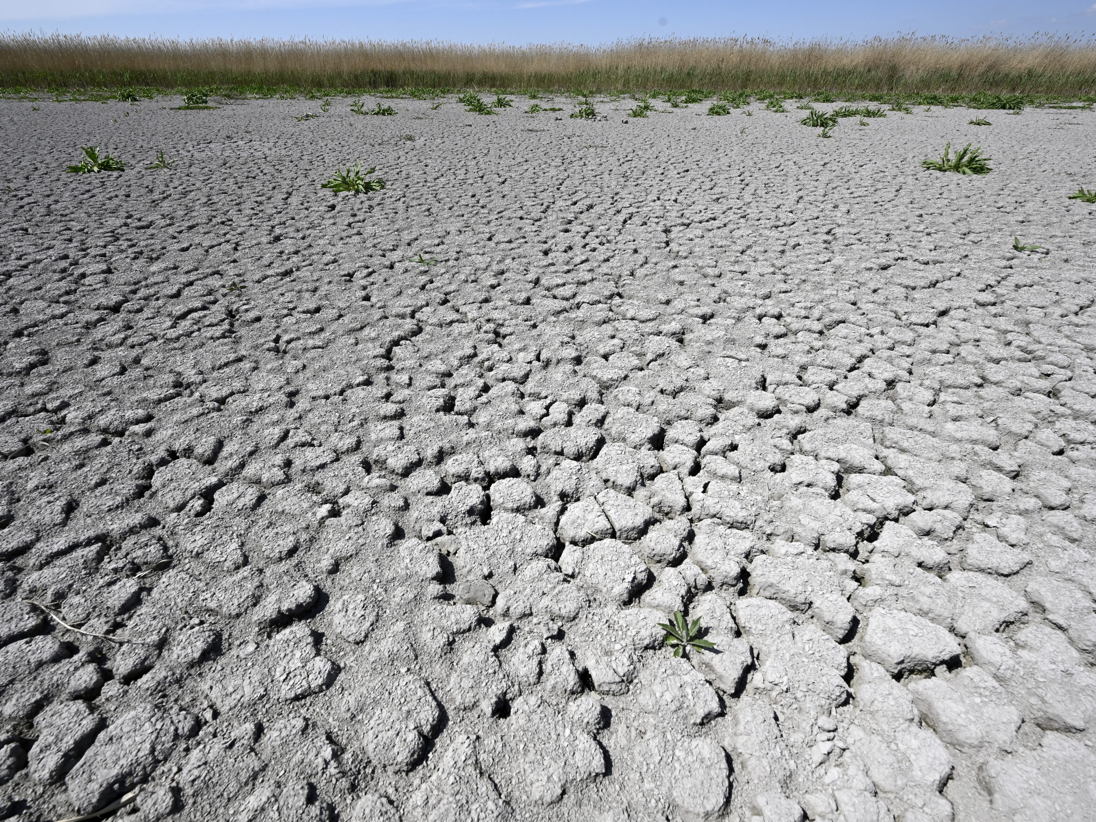 Vertreter aus Wirtschaft fordern mehr Tempo bei Klimaschutzgesetzen. Vertreter aus Wirtschaft fordern mehr Tempo bei Klimaschutzgesetzen.