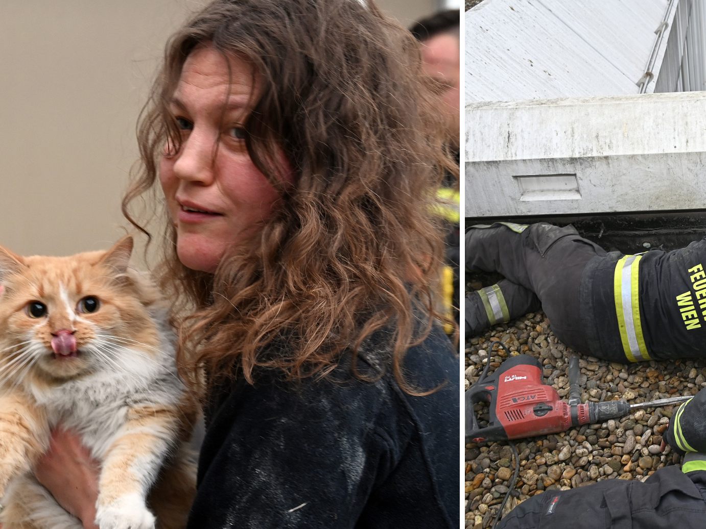 Kater "Rotschopf" konnte gerettet werden.