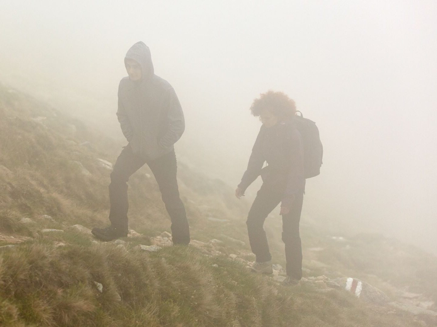 Im Nebel verloren die Wanderer die Orientierung.