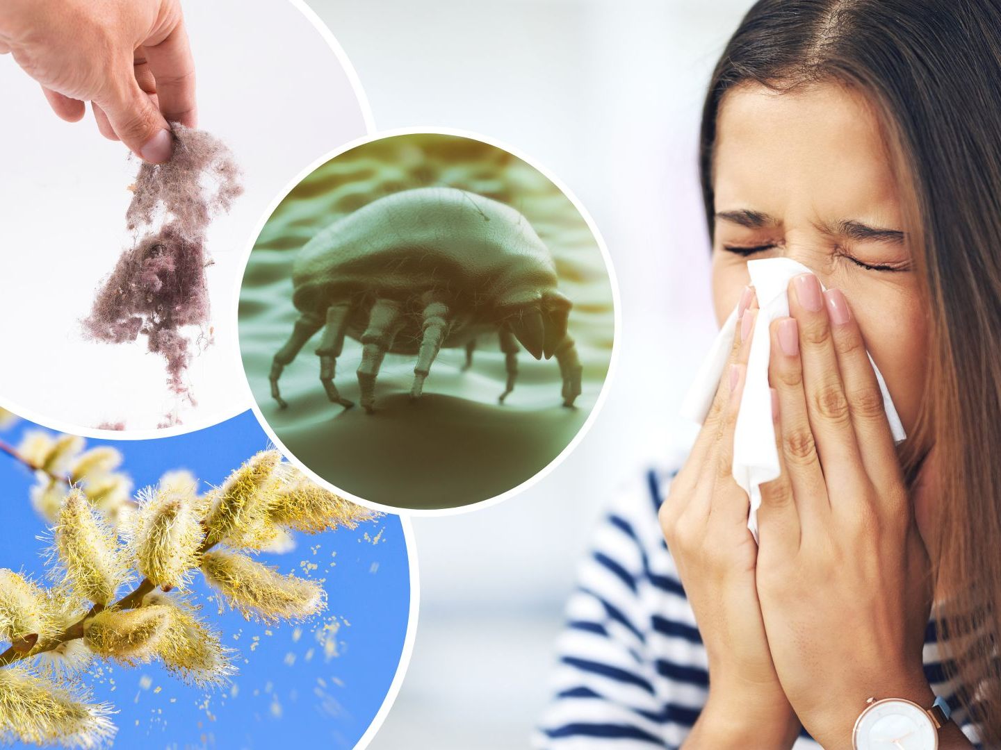 Jeder Sechste Österreicher wird von einer Allergie geplagt. Jeder Sechste Österreicher wird von einer Allergie geplagt.