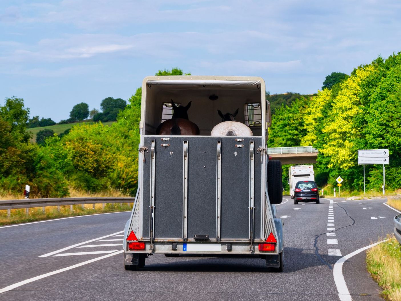 Ein Norikerhengst wurde bei voller Fahrt aus dem Autoanhänger geschleudert. Ein Norikerhengst wurde bei voller Fahrt aus dem Autoanhänger geschleudert.