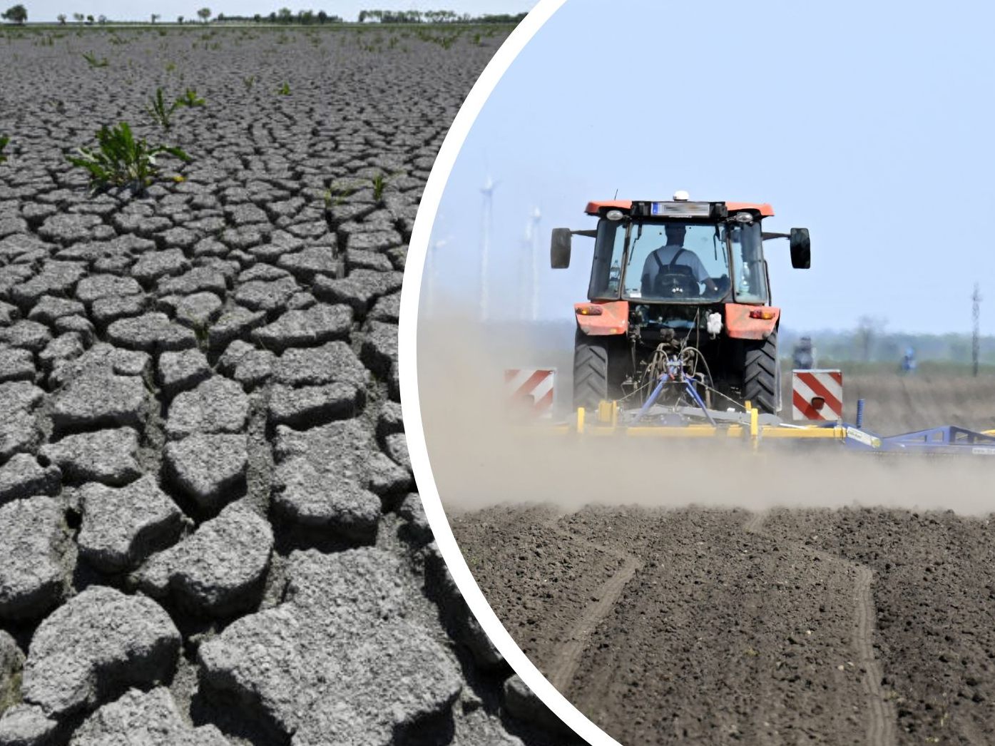 Vor allem im Osten Österreichs haben die Landwirte schon mit der Trockenheit zu kämpfen. Vor allem im Osten Österreichs haben die Landwirte schon mit der Trockenheit zu kämpfen.