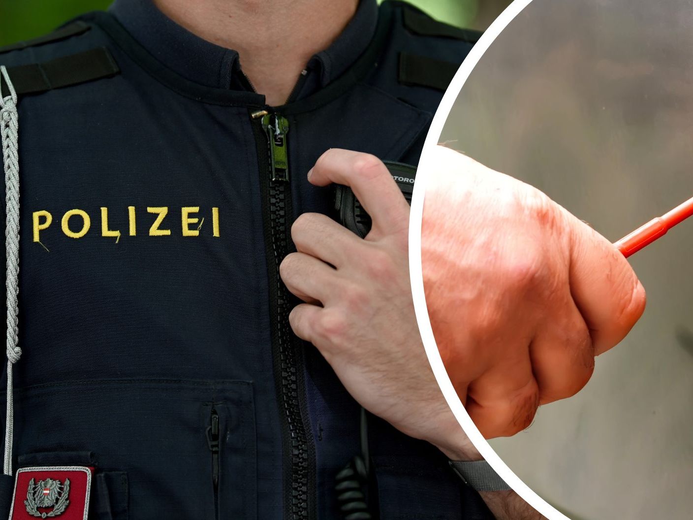 Ein 41-Jähriger randalierte in Wien, drohte seiner Frau und attackierte einen Polizisten.