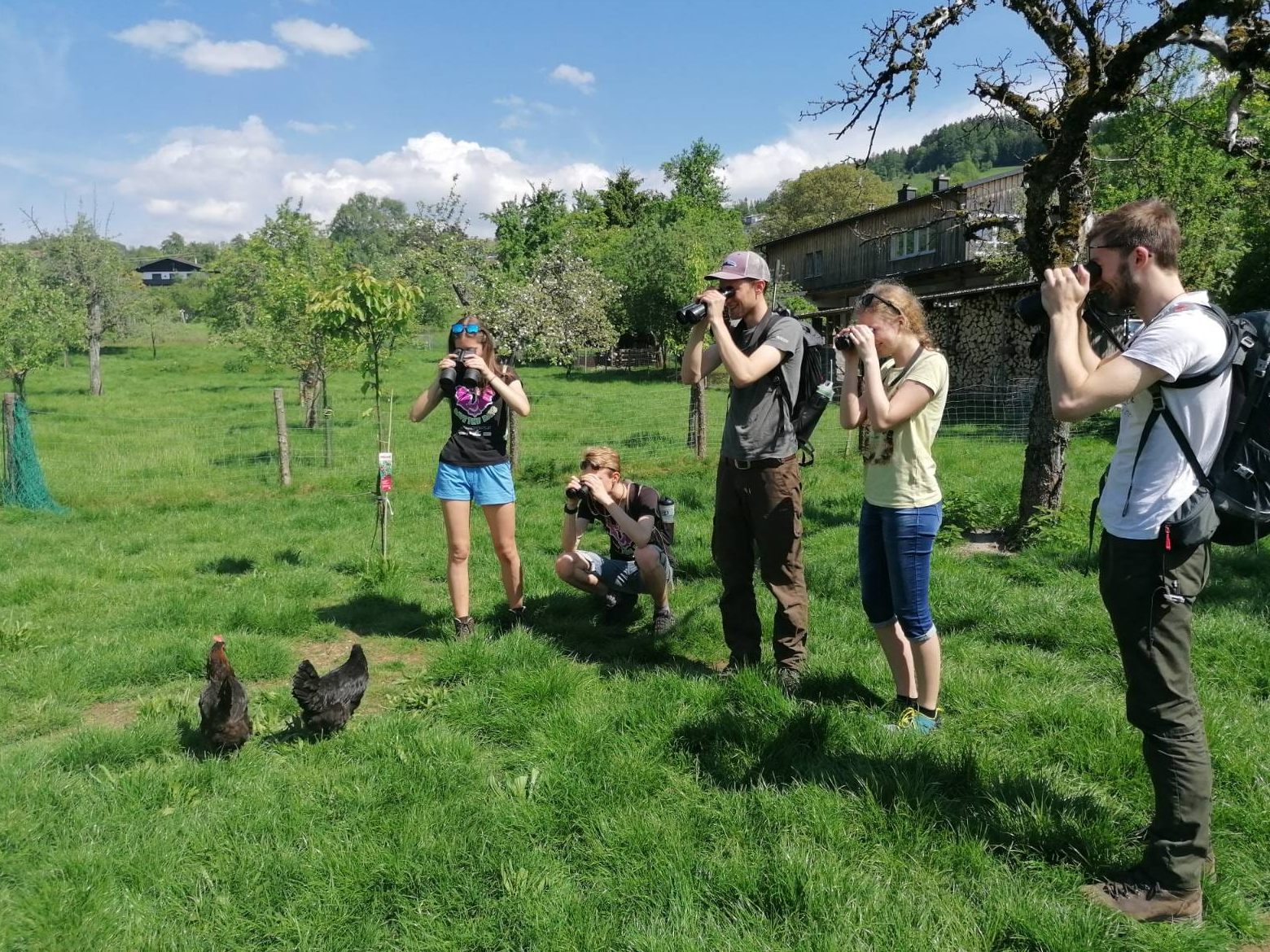 Das Austrian BirdRace findet am 6. und 7. Mai statt.