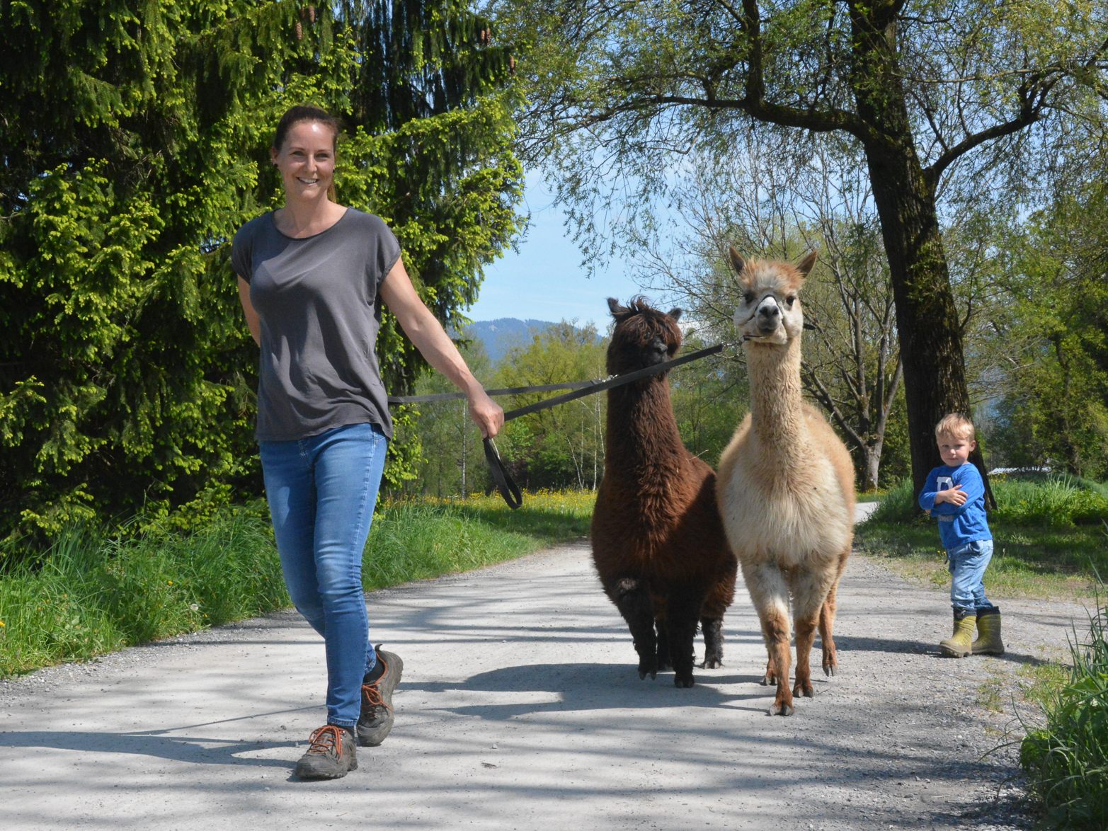 Nina Schlattinger aus Lustenau erfüllt sich mit ihren Alpakas einen großen Traum.