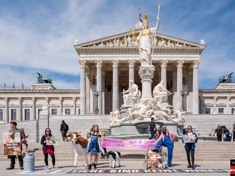 09052023 VGT-Aktion zum Muttertag – Leid der Muetter in der Tierindustrie