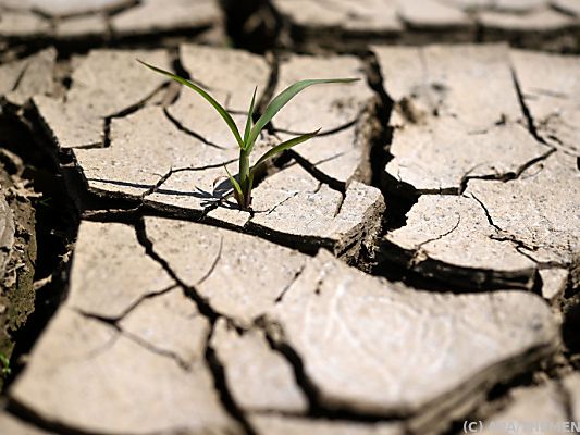Durchschnittstemperatur lag 2022 2,3 Grad über vorindustriellem Niveau