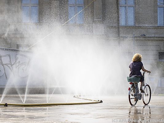 Direkte Sonne soll bei hohen Temperaturen gemieden werden