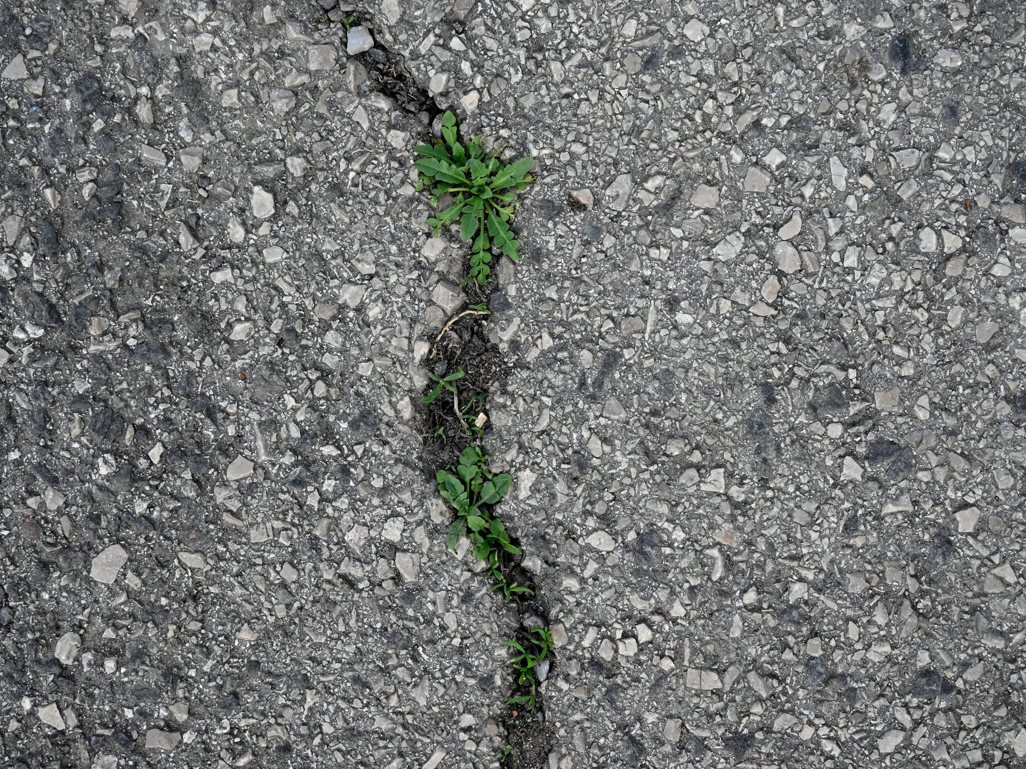 Ein neues Portal liefert Daten zum Bodenverbrauch.