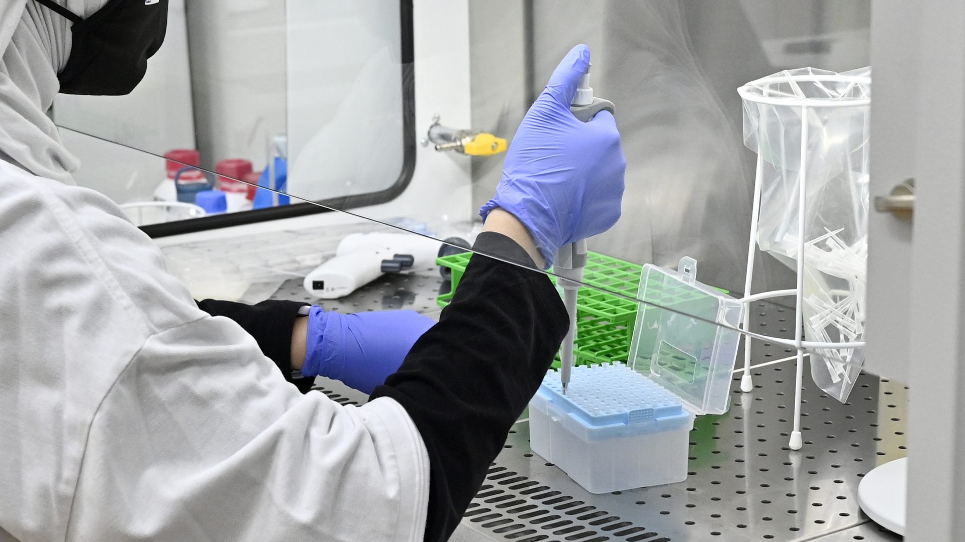 Milestone Neue Apartments für Studenten bei der WU in Wien Vienna Online