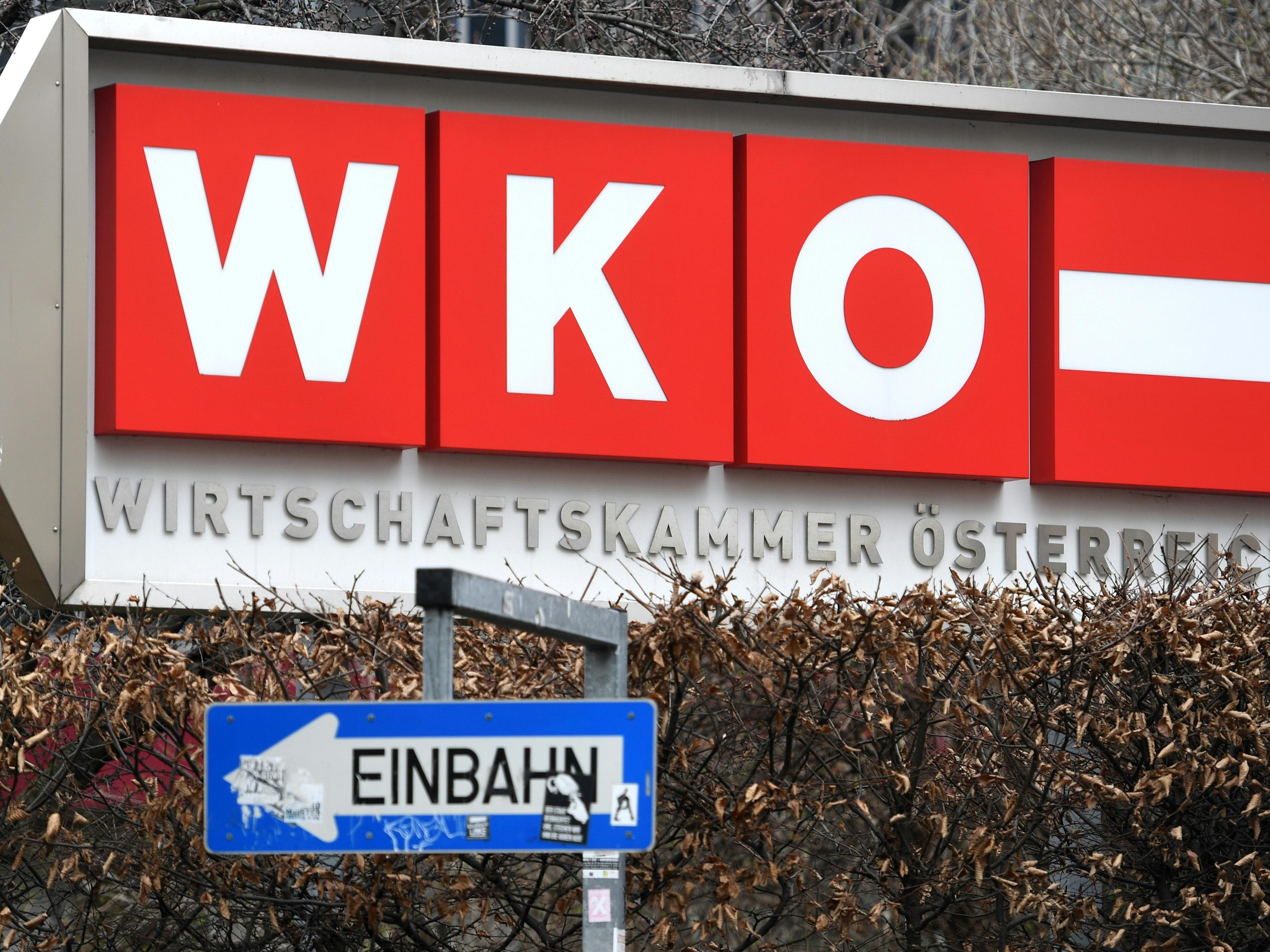 Der WKÖ-Rechnungsabschluss wurde beschlossen.
