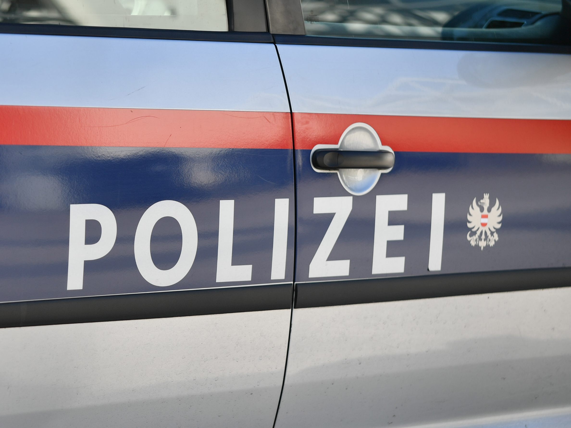 Die Wiener Polizei musste bei einer Rauferei im Haydnpark einschreiten. Die Wiener Polizei musste bei einer Rauferei im Haydnpark einschreiten.
