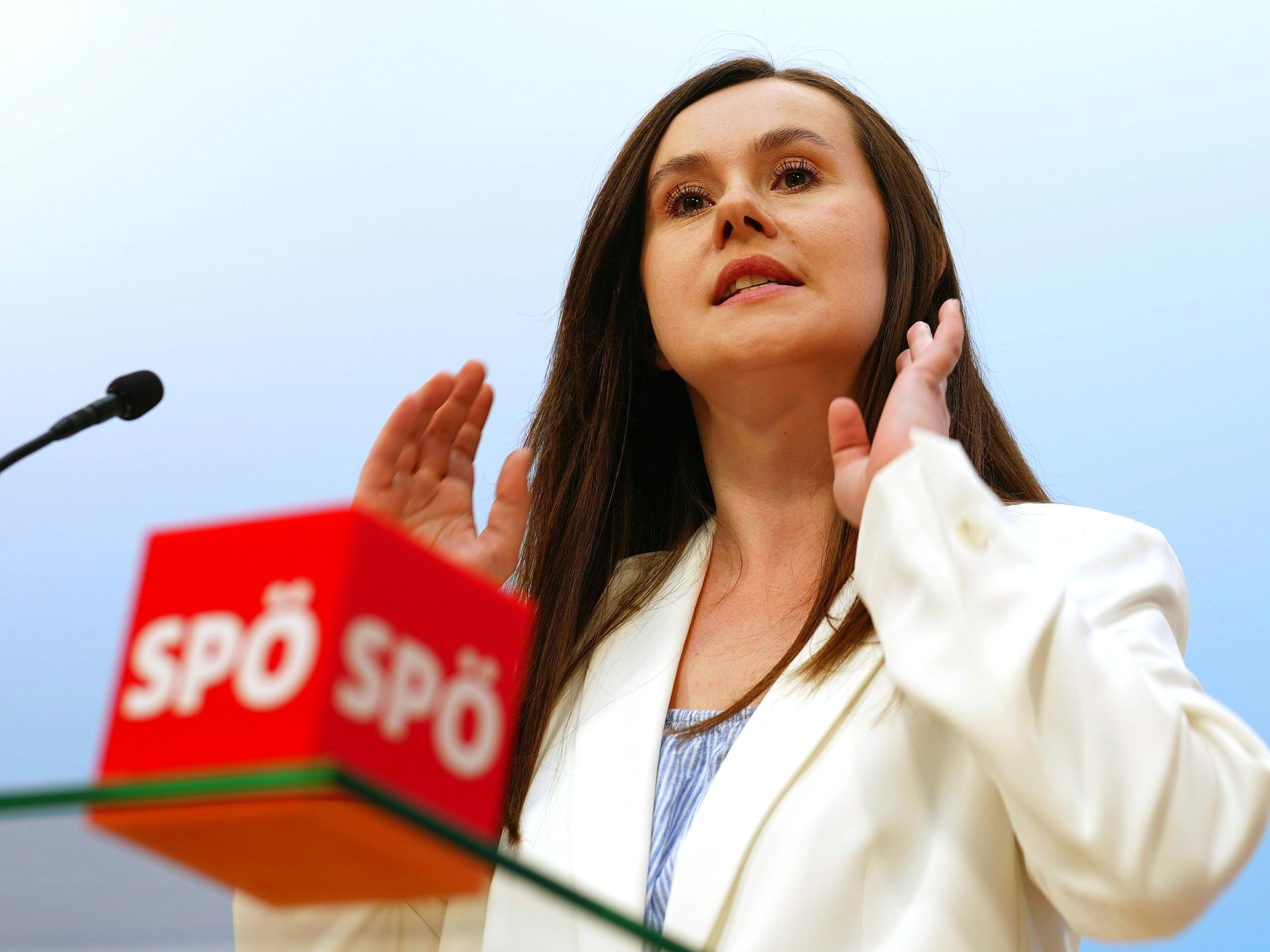 Grubesa: Rückzug als Leiterin der SPÖ-Wahlkommission. Grubesa: Rückzug als Leiterin der SPÖ-Wahlkommission.