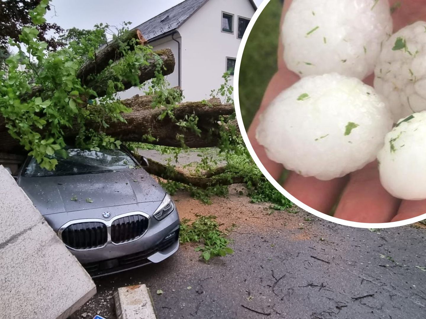 Entwurzelte Bäume im Bezirk Liezen, golfballgroßer Hagel in Kärnten.