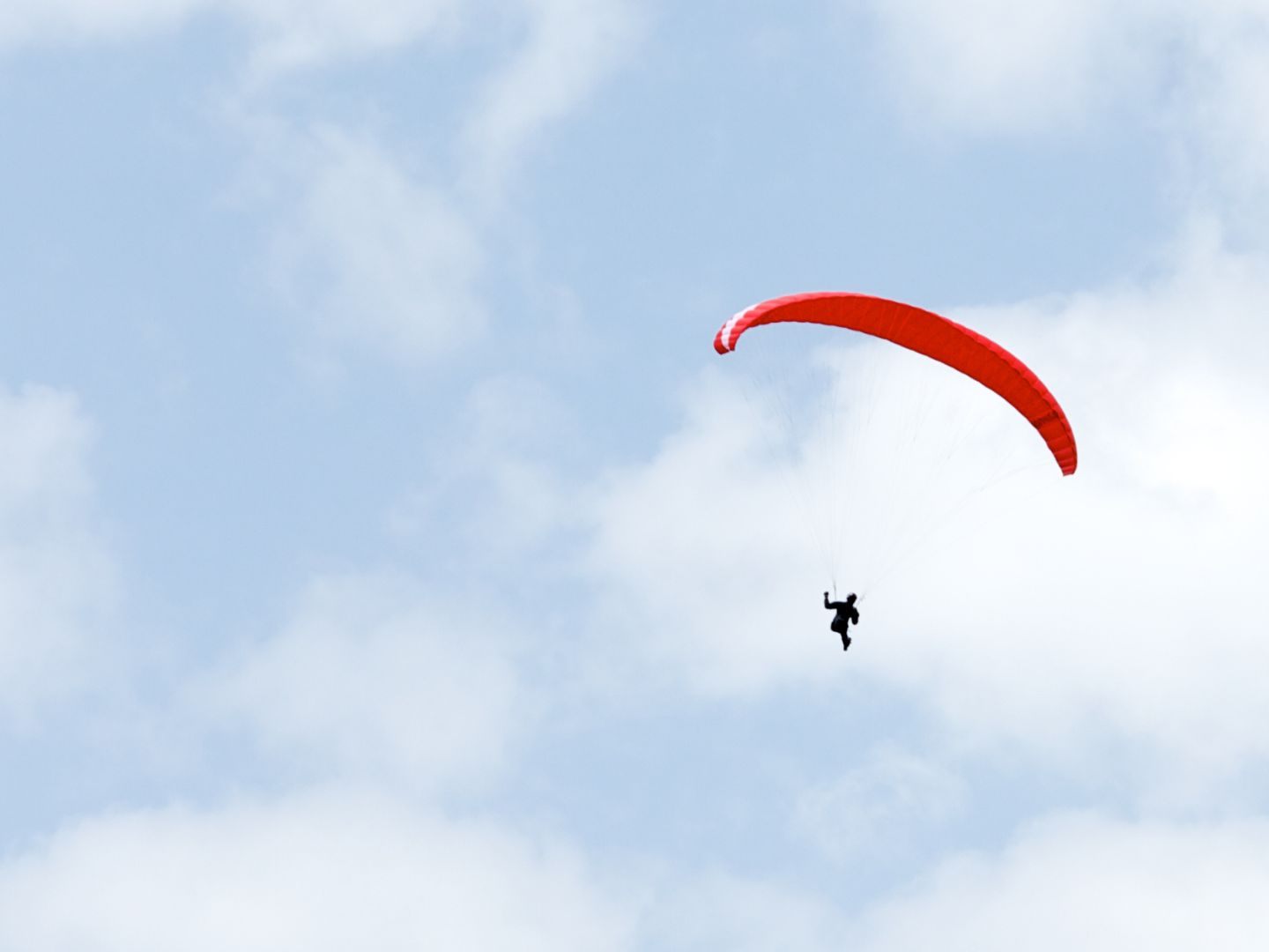 Wiener Paragleiter wurde in NÖ schwer verletzt.