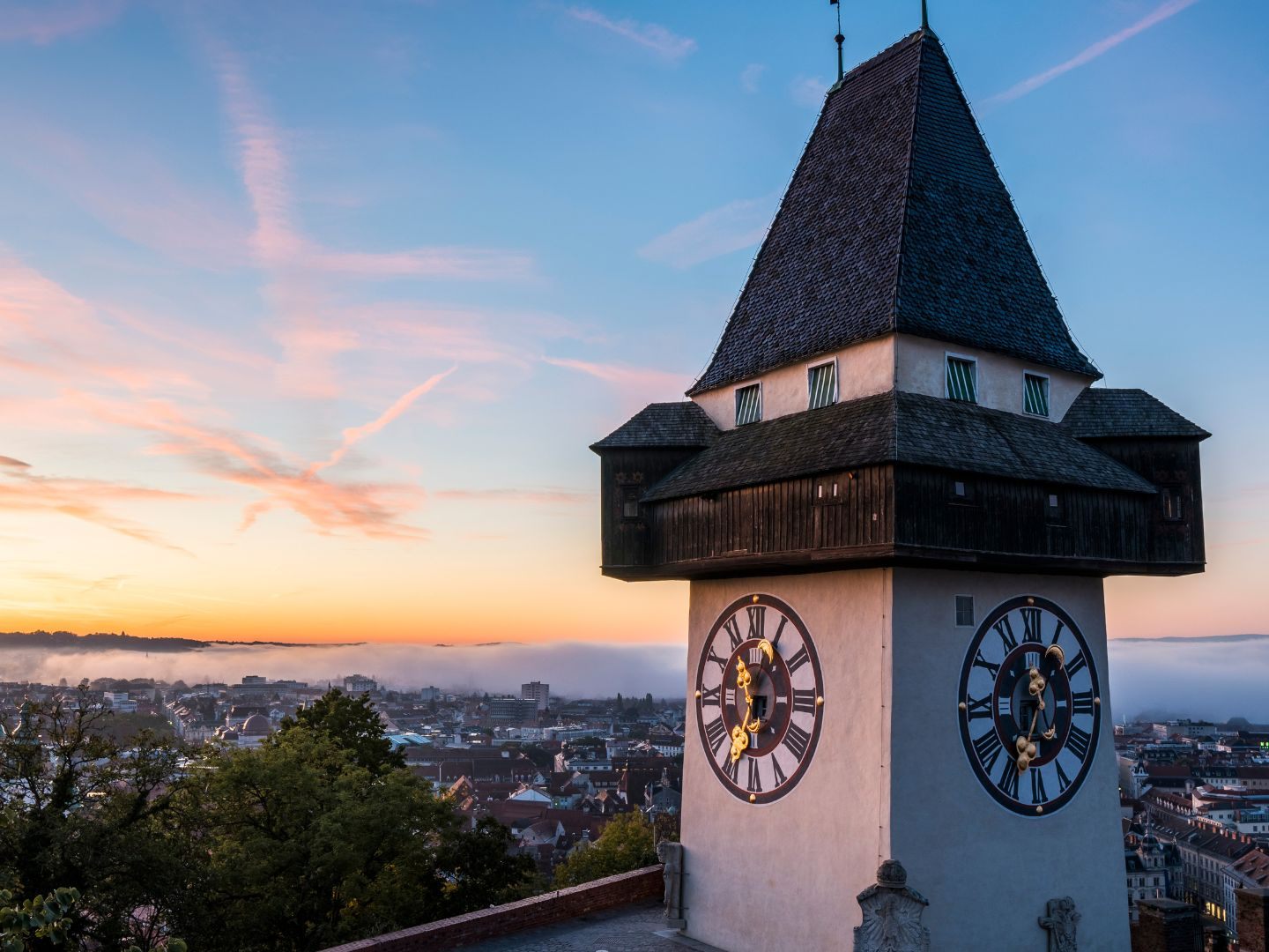 Asiatische Tigermücke: Stadt Graz gibt Tipps zur Eindämmung. Asiatische Tigermücke: Stadt Graz gibt Tipps zur Eindämmung.