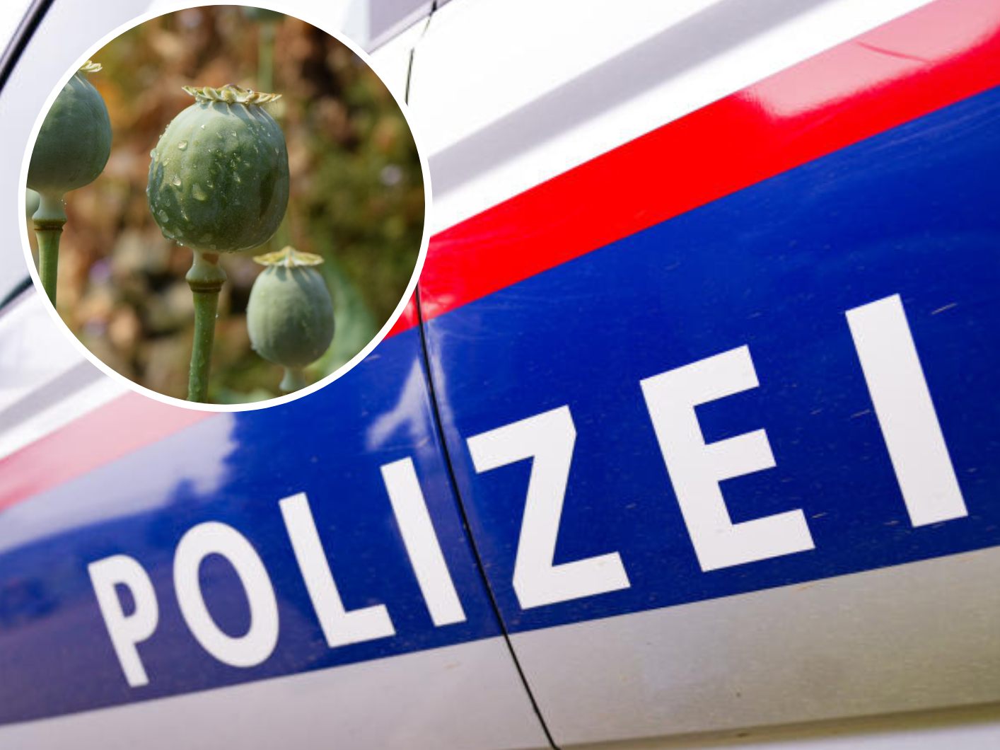 Ein ganzer Familienverband dealte von Wien aus mit Opiumsticks.