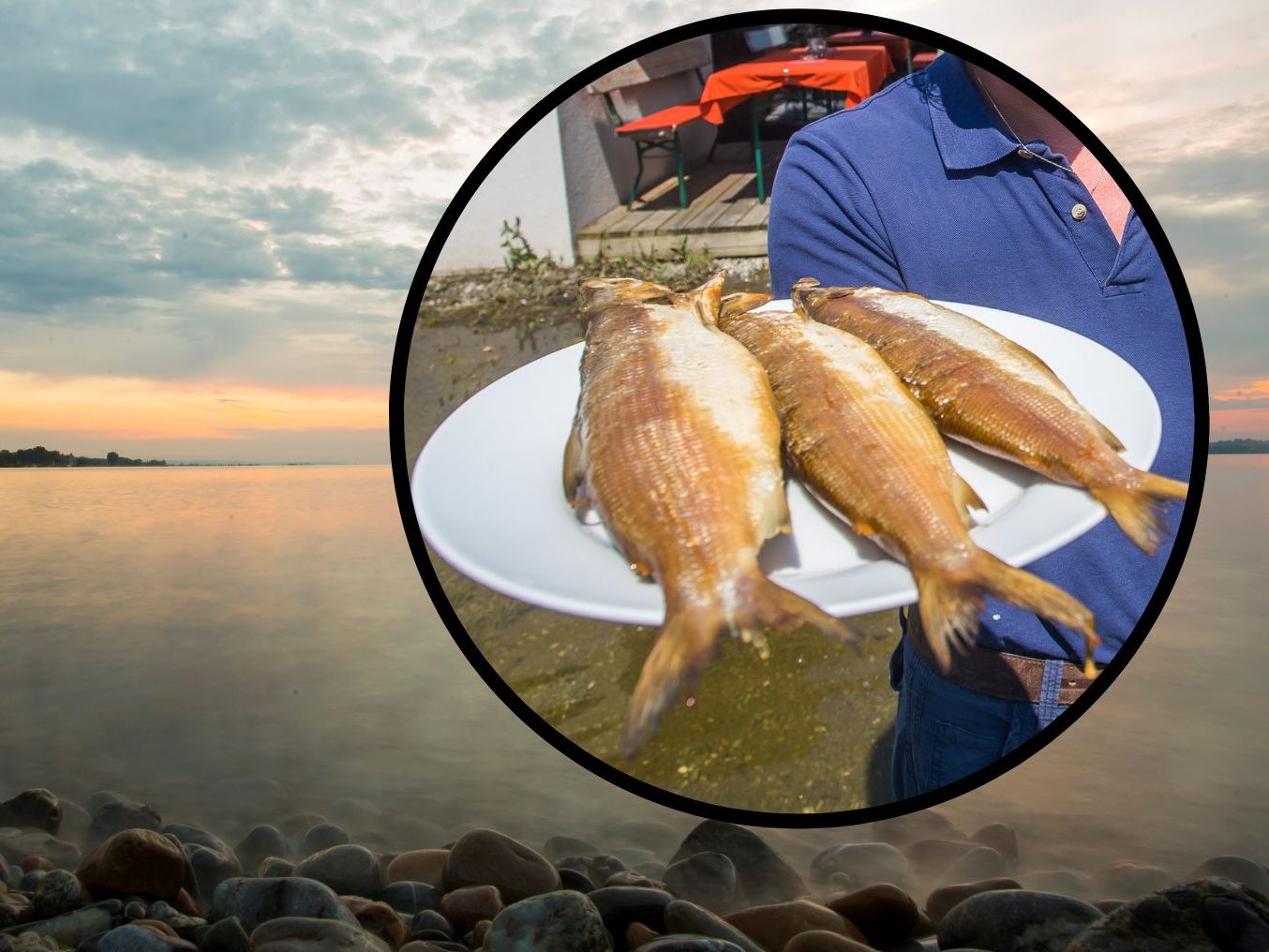 Die kommenden drei Jahre dürfen im Bodensee keine Felchen gefangen werden.