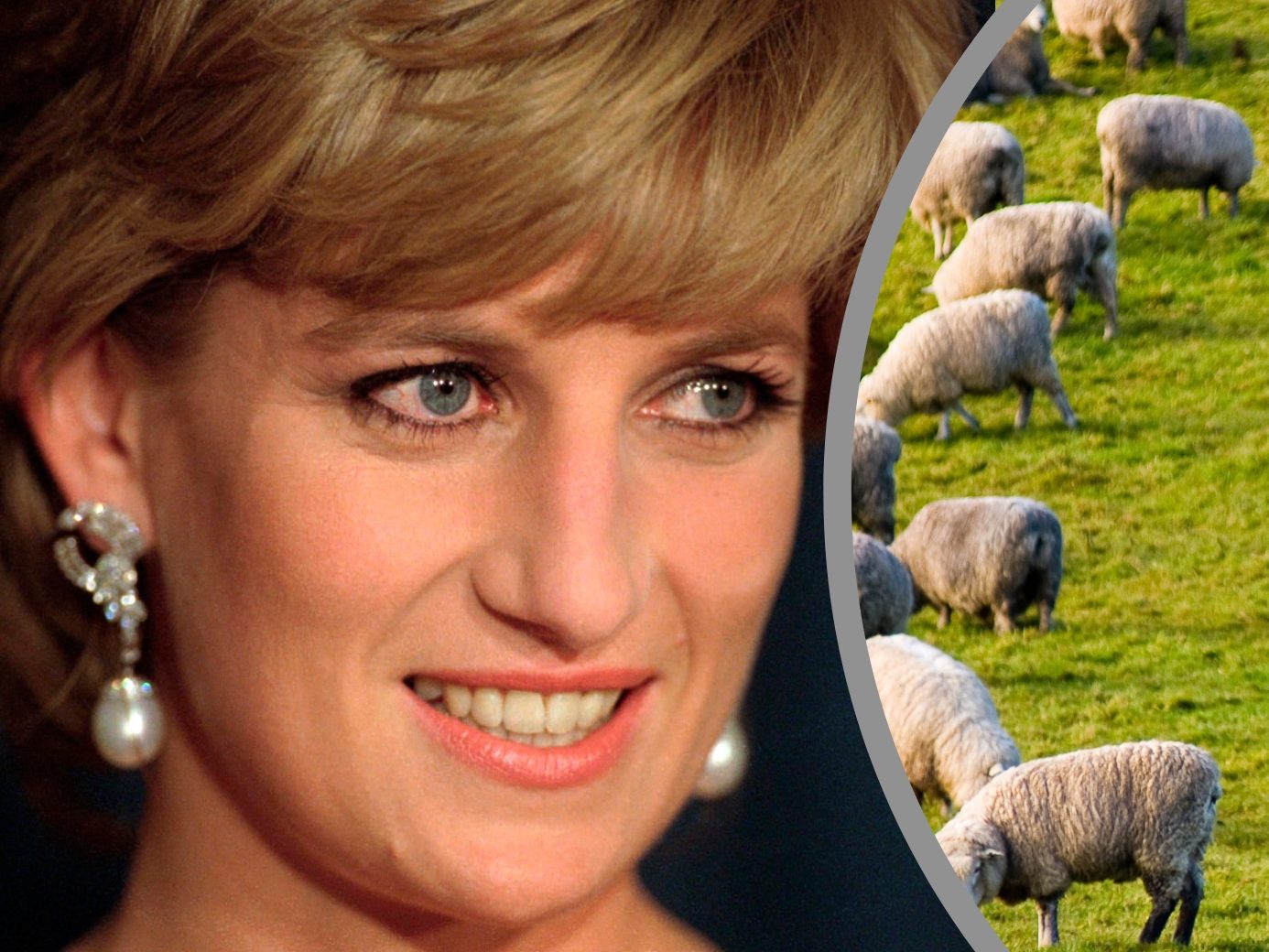 Vor 25 Jahren starb Prinzessin Diana.