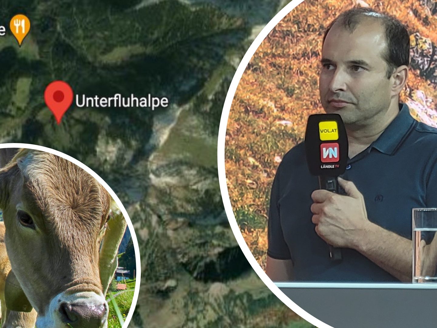 Christoph Freuis zu Gast im "Vorarlberg LIVE"-Studio.