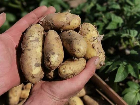 © Ländle Qualitätsprodukte Marketing GmbH