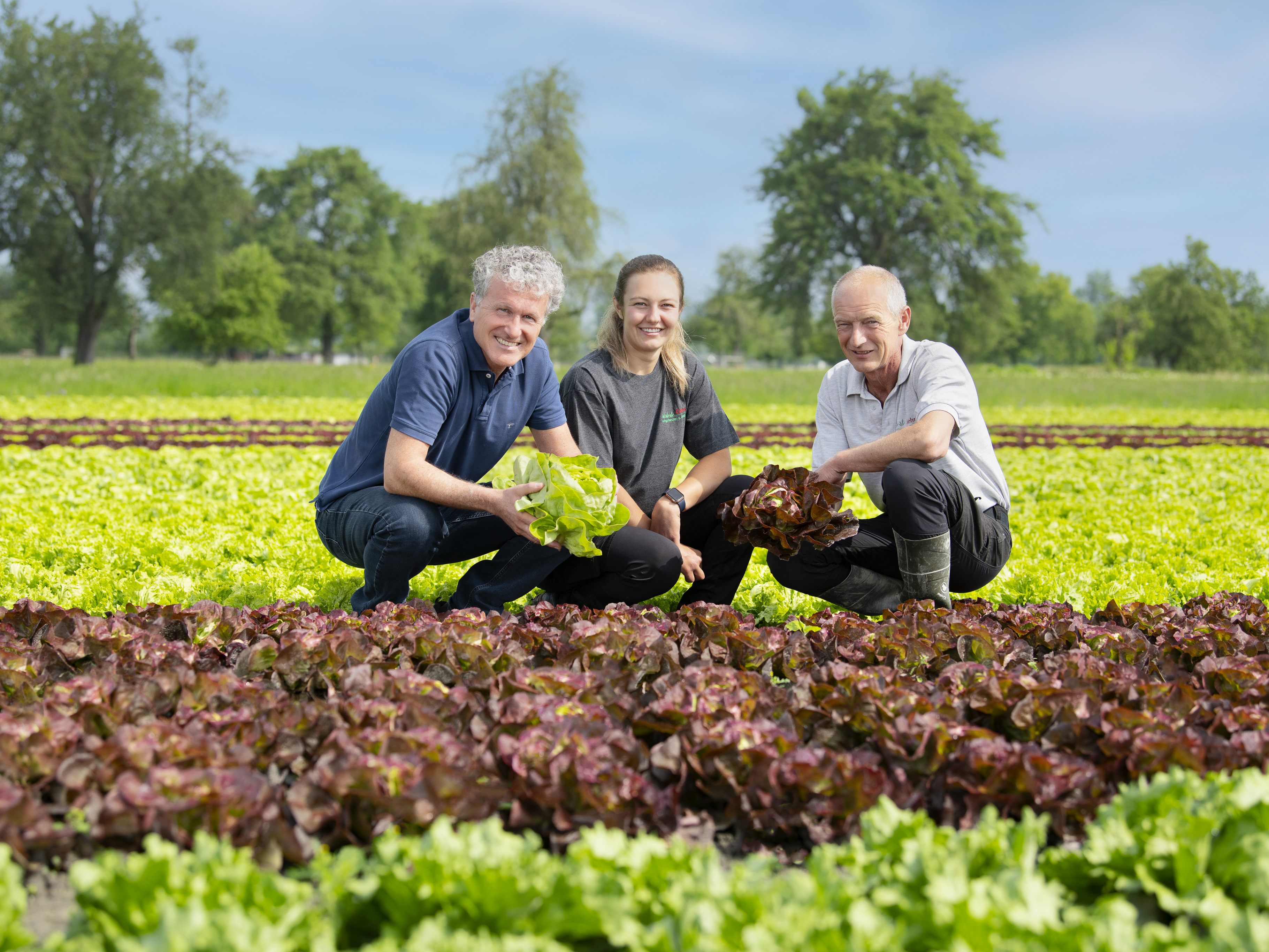 „Salate und auch Kohlvarianten sind gerade in der heißen Jahreszeit nicht mehr weg zu denken. Ob als leichter Sommersalat, oder als knackige Beilage zum Grillen – sie liefern immer viele wertvolle Vitamine.“