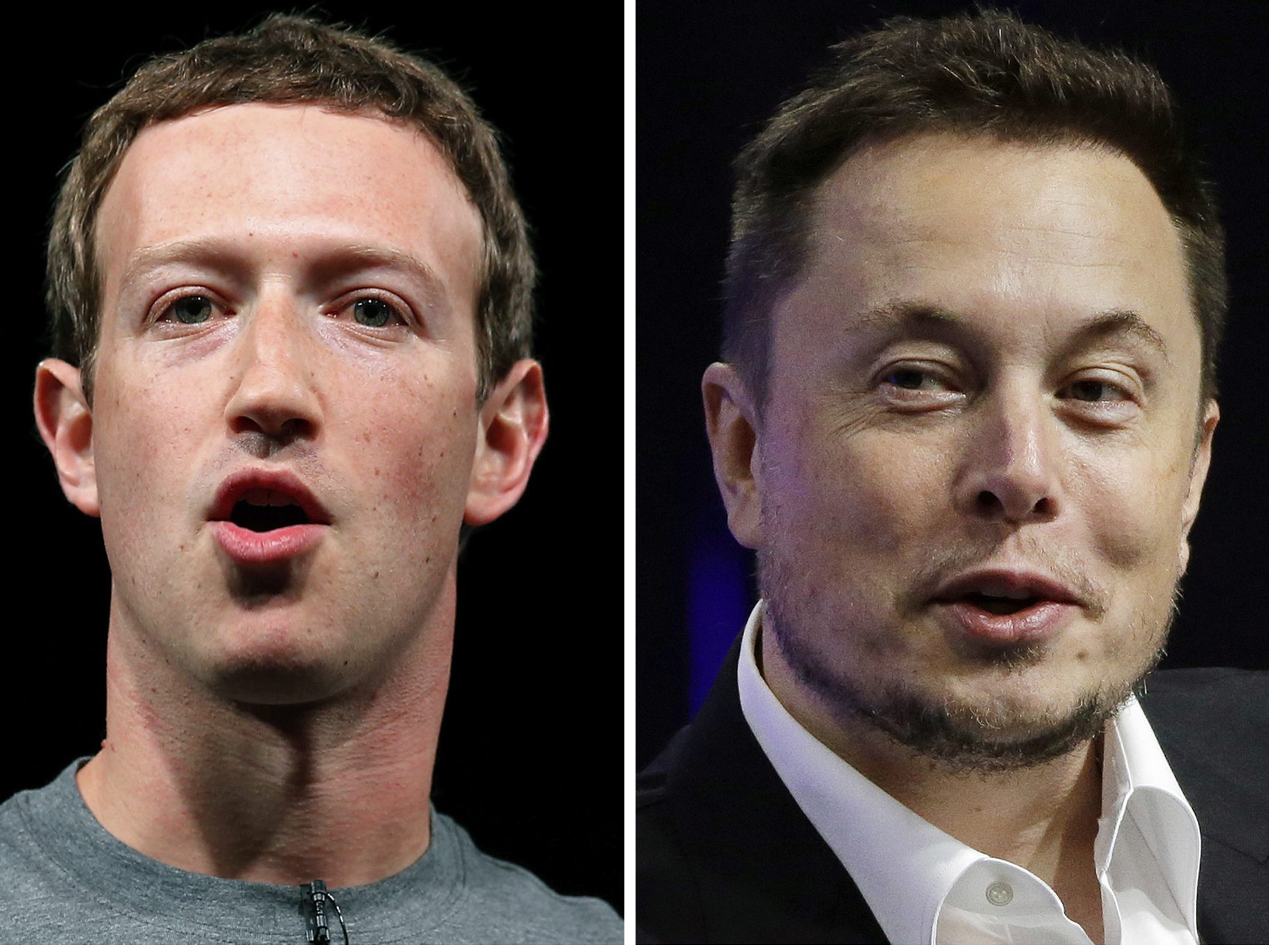 Steigen die Tech-Giganten Mark Zuckerberg und Elon Musk bald gegeneinander in den Ring?