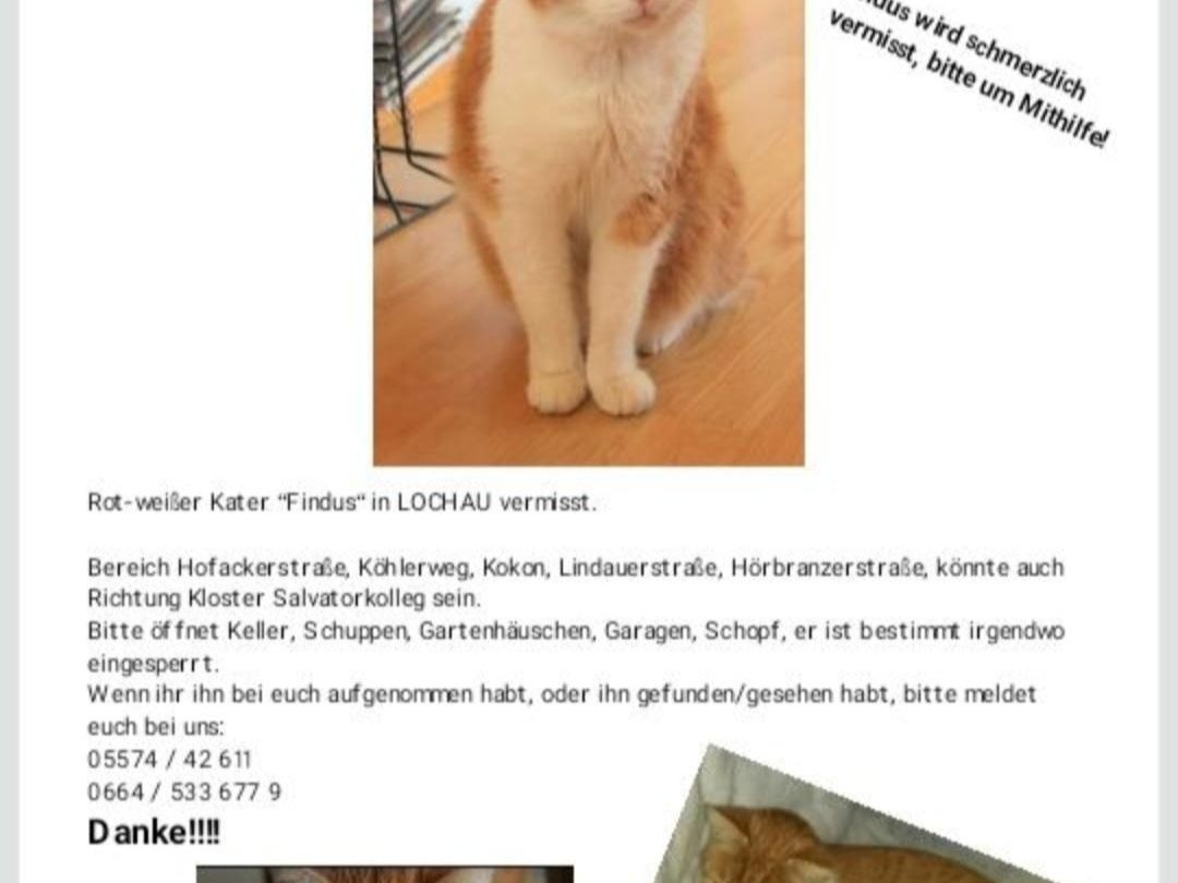 Findus