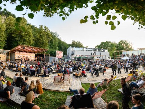 Auch dieses Jahr sind wieder vier MusikerInnen in der Kategorie "Newcomer" nominiert.