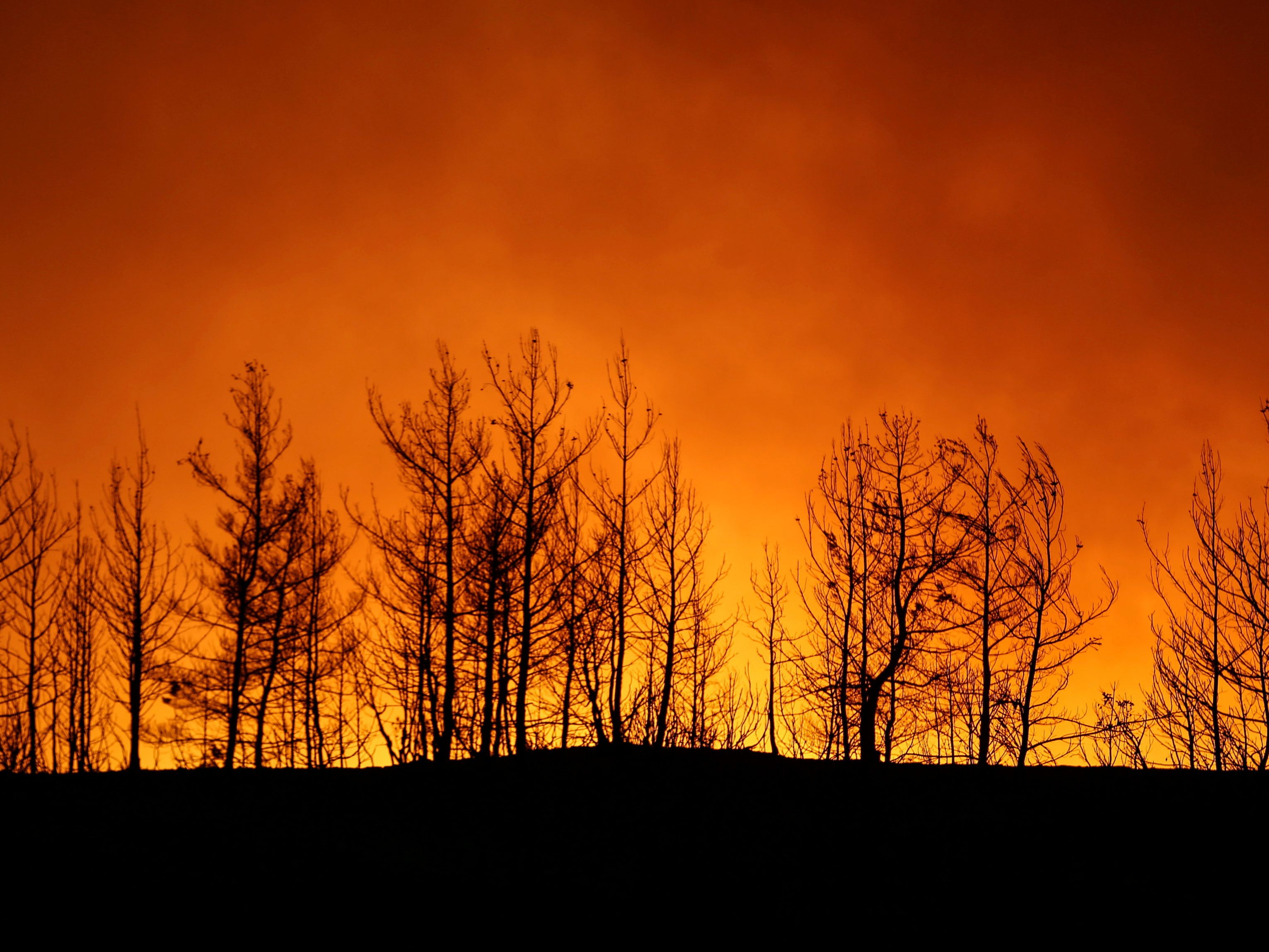 Wegen eines Waldbrandes mussten Häuser im südtürkischen Antalya evakuiert werden. Wegen eines Waldbrandes mussten Häuser im südtürkischen Antalya evakuiert werden.