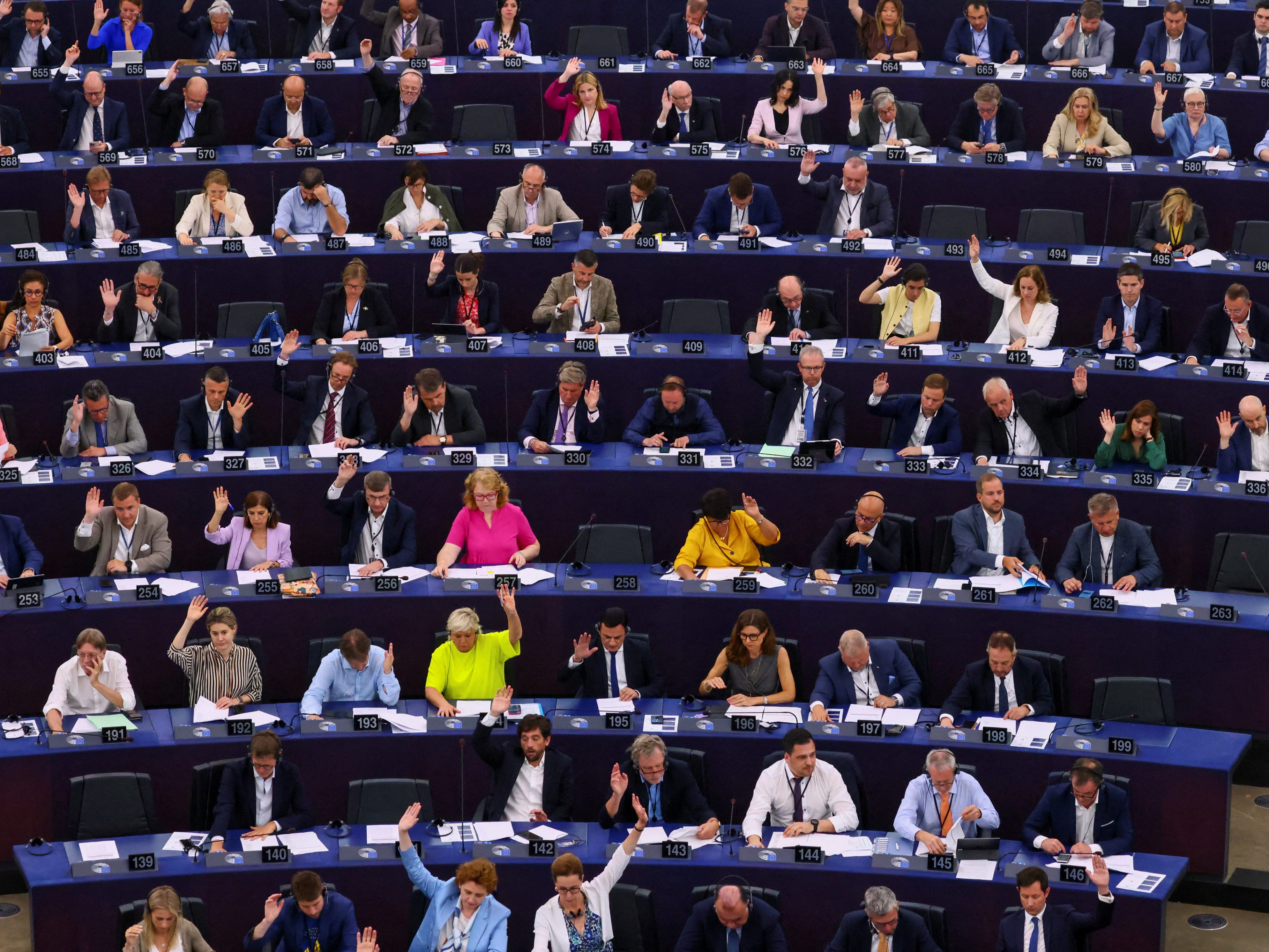 Das EU-Parlament stimmt über das Renaturierungsgesetz ab.