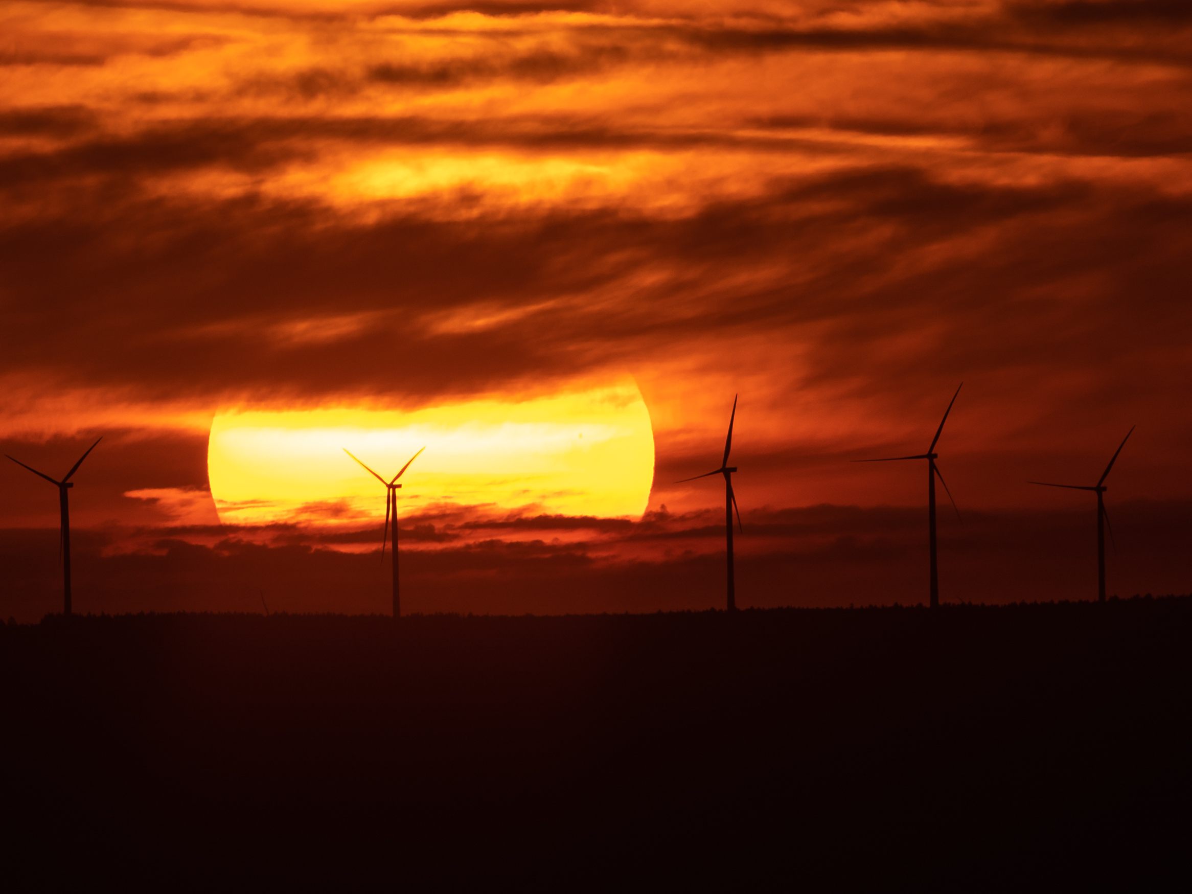 Die Klimavolksbegehrens-Initiatoren ziehen eine ernüchternder Bilanz nach dem Klimarat.