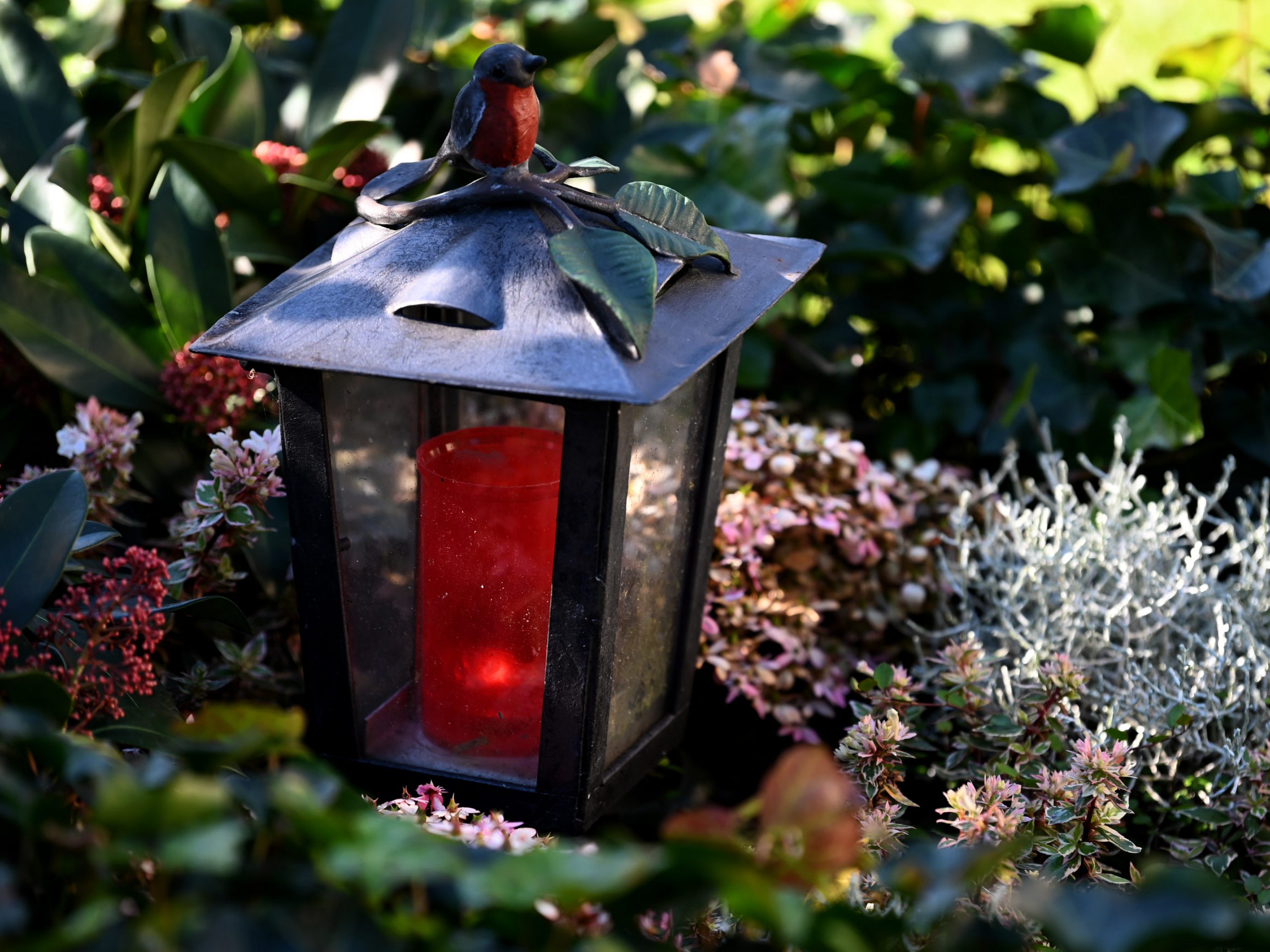 Ein junger Österreicher ist im Kroatien-Urlaub gestorben.