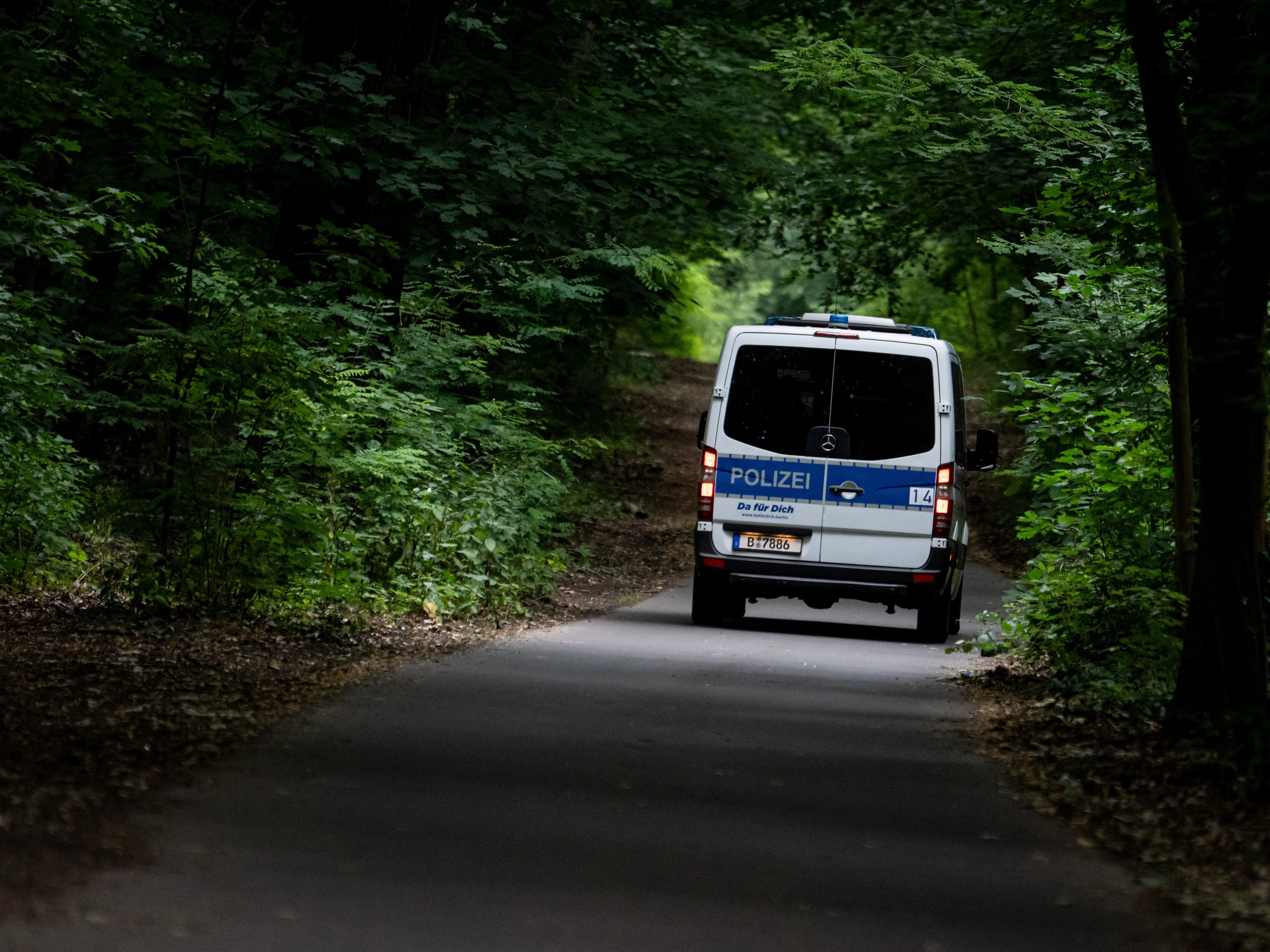 In den Wäldern von Kleinmachnow dürfte keine Löwin unterwegs gewesen sein.